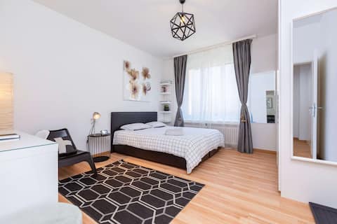 Top Airbnb: Spacious Studio | City Area | Near Zurich HB in Werd
