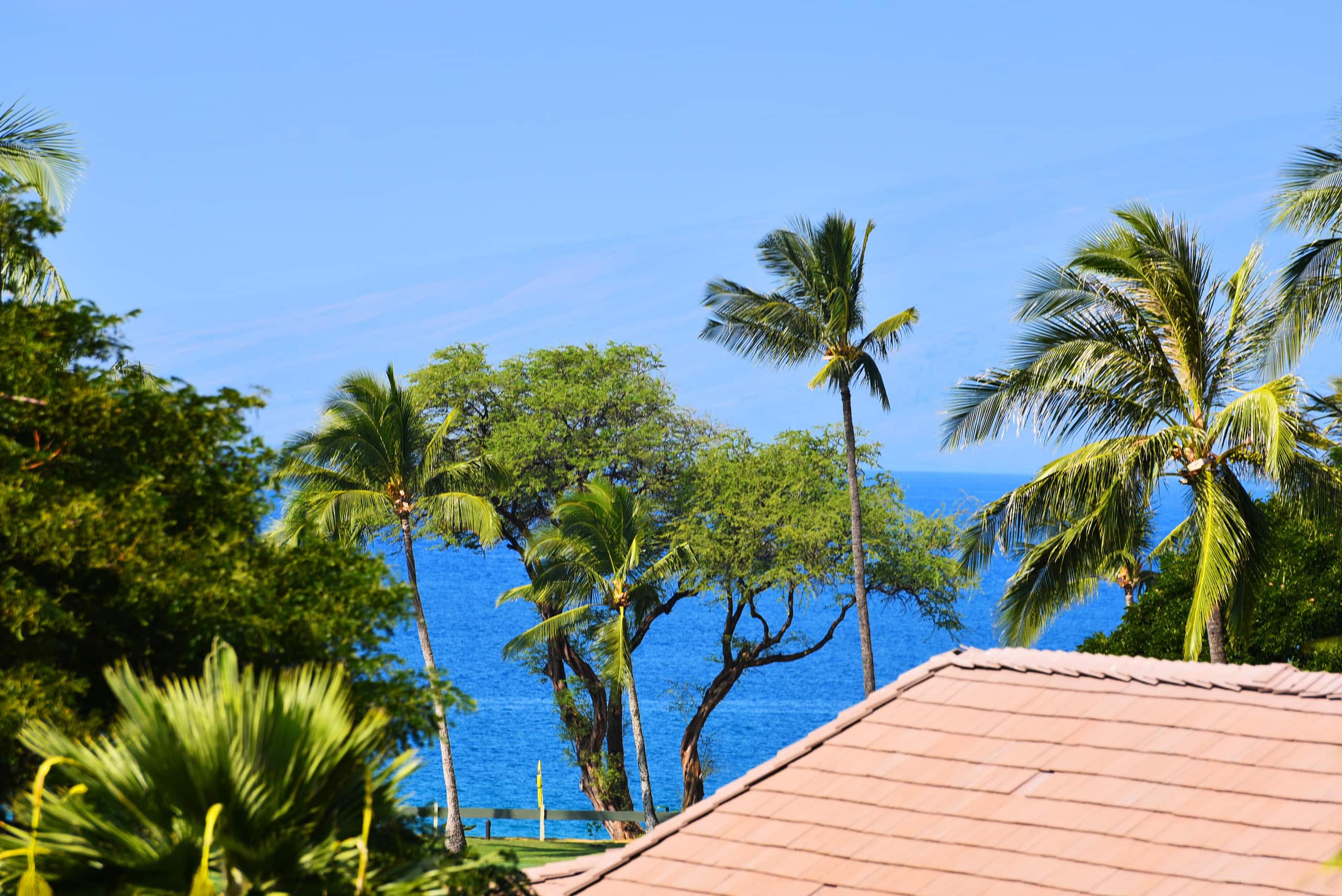 Top Floor, Corner Unit, Pool View, Kaanapali Beach - Image 20