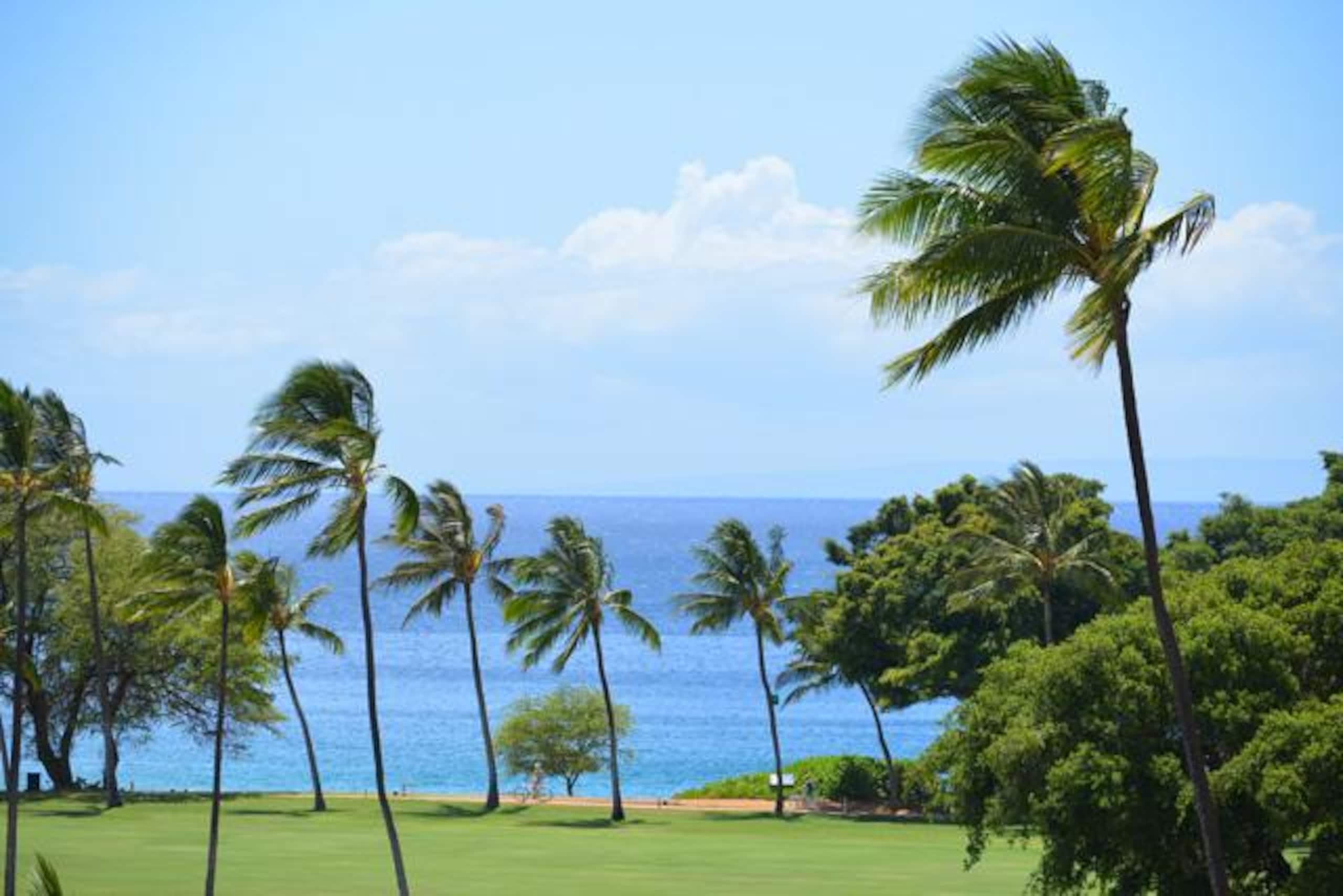 Home in Kaanapali · ★4.8 · Studio · 1 bed · 1 bath - Image 4