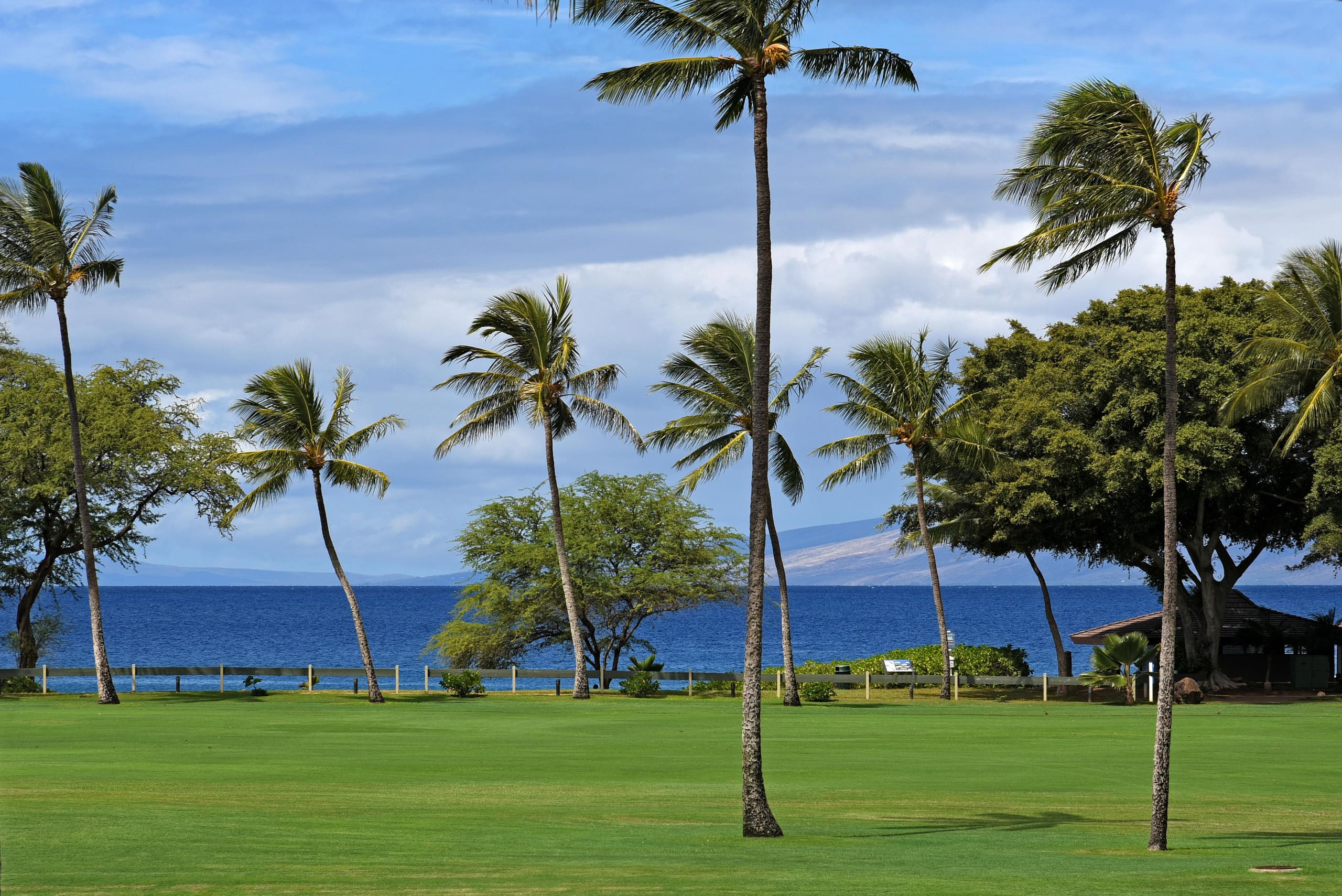 Condo in Kaanapali · ★4.8 · 1 bedroom · 2 beds · 1 bath - Image 28