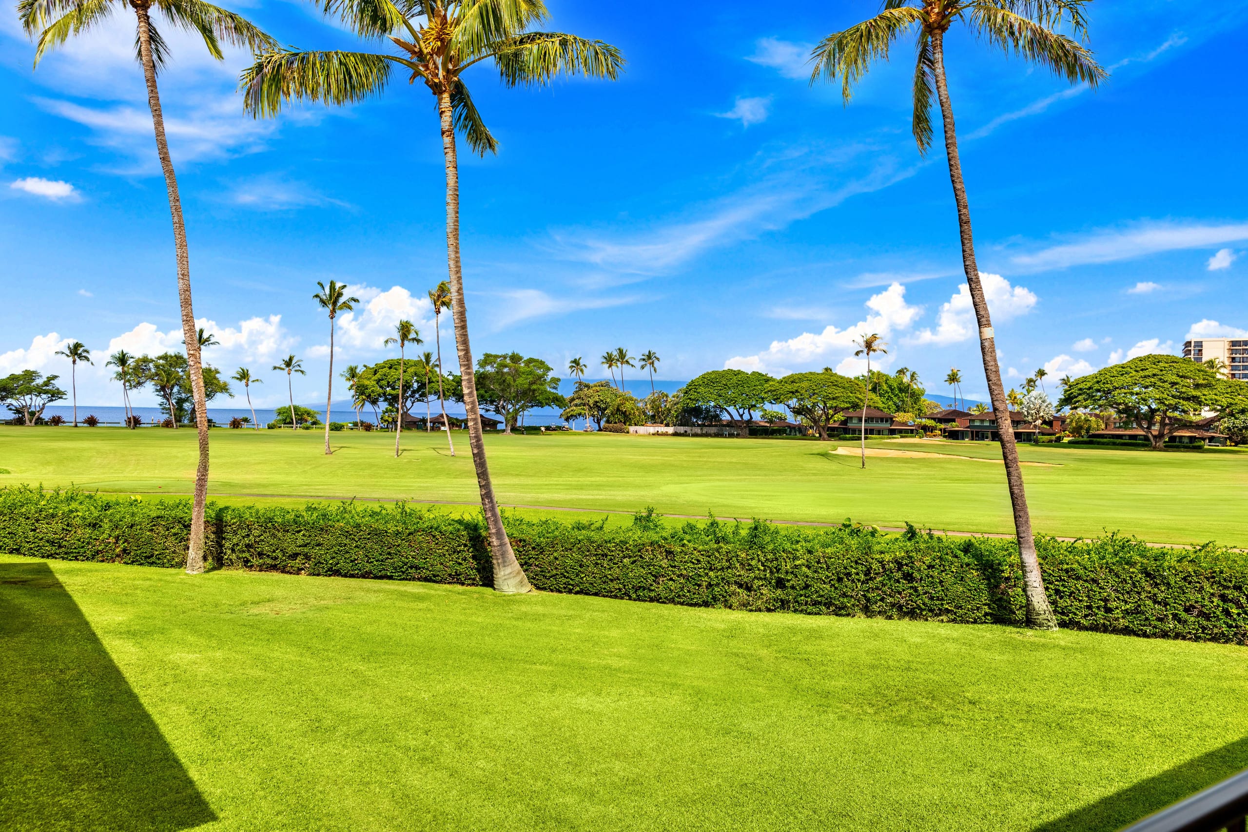 Condo in Kaanapali · ★4.8 · 1 bedroom · 2 beds · 1 bath - Image 53