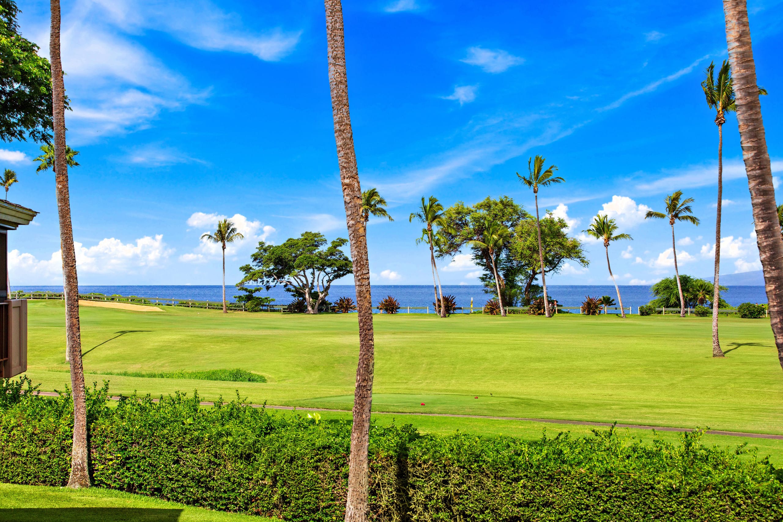 Condo in Kaanapali · ★4.8 · 1 bedroom · 2 beds · 1 bath - Image 23