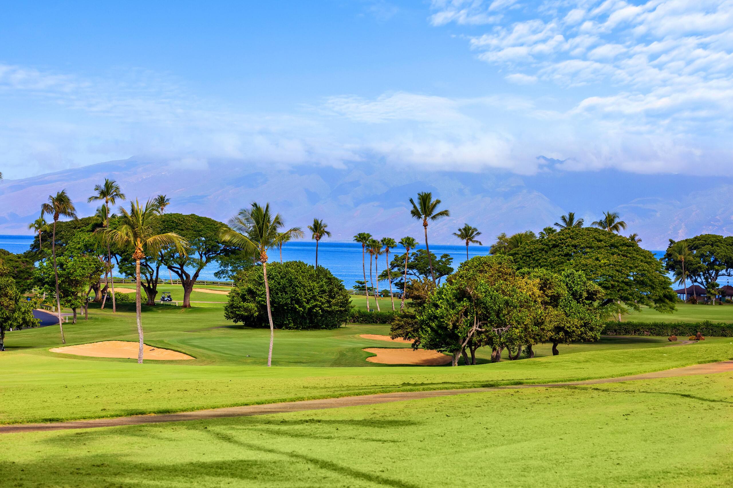 Condo in Kaanapali · ★4.69 · 1 bedroom · 2 beds · 1 bath - Photo 8