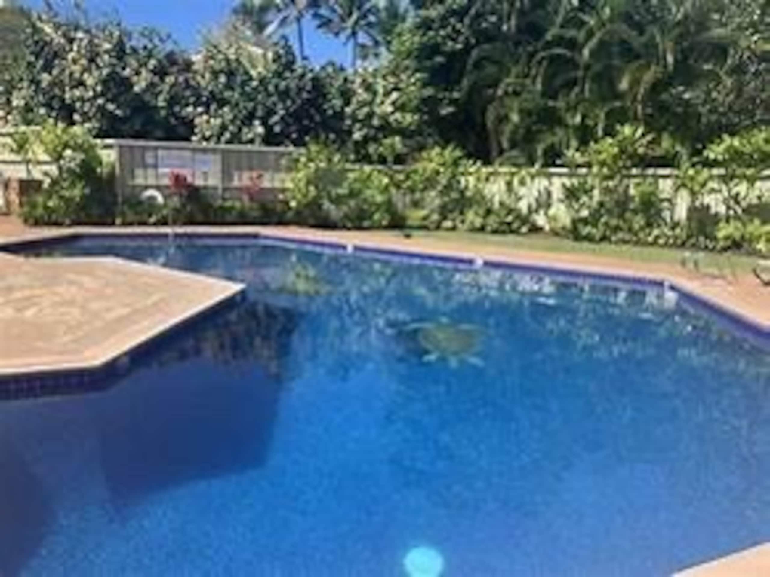 Condo in Kahuku · ★4.68 · 2 bedrooms · 3 beds · 2 shared baths - Image 24