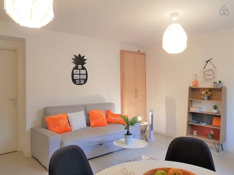 Annonce Airbnb populaire: F2 The patioGarden Free parking à Saint Martin D'hères
