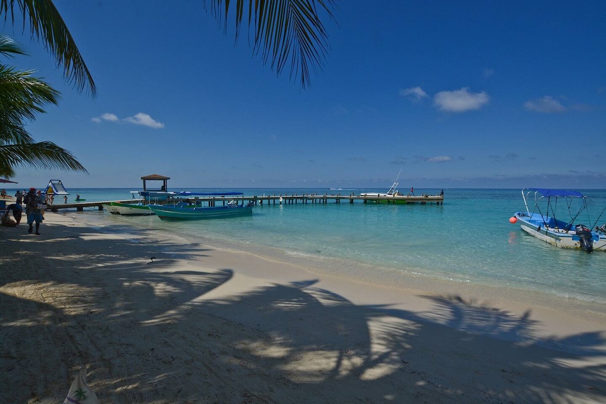 A sandy beach stretches along a serene coastline, with gentle waves lapping at the shore. A wooden pier extends into the turquoise water, accompanied by small boats anchored nearby. Lush palm fronds provide shade, framing the tranquil scene under a clear blue sky.