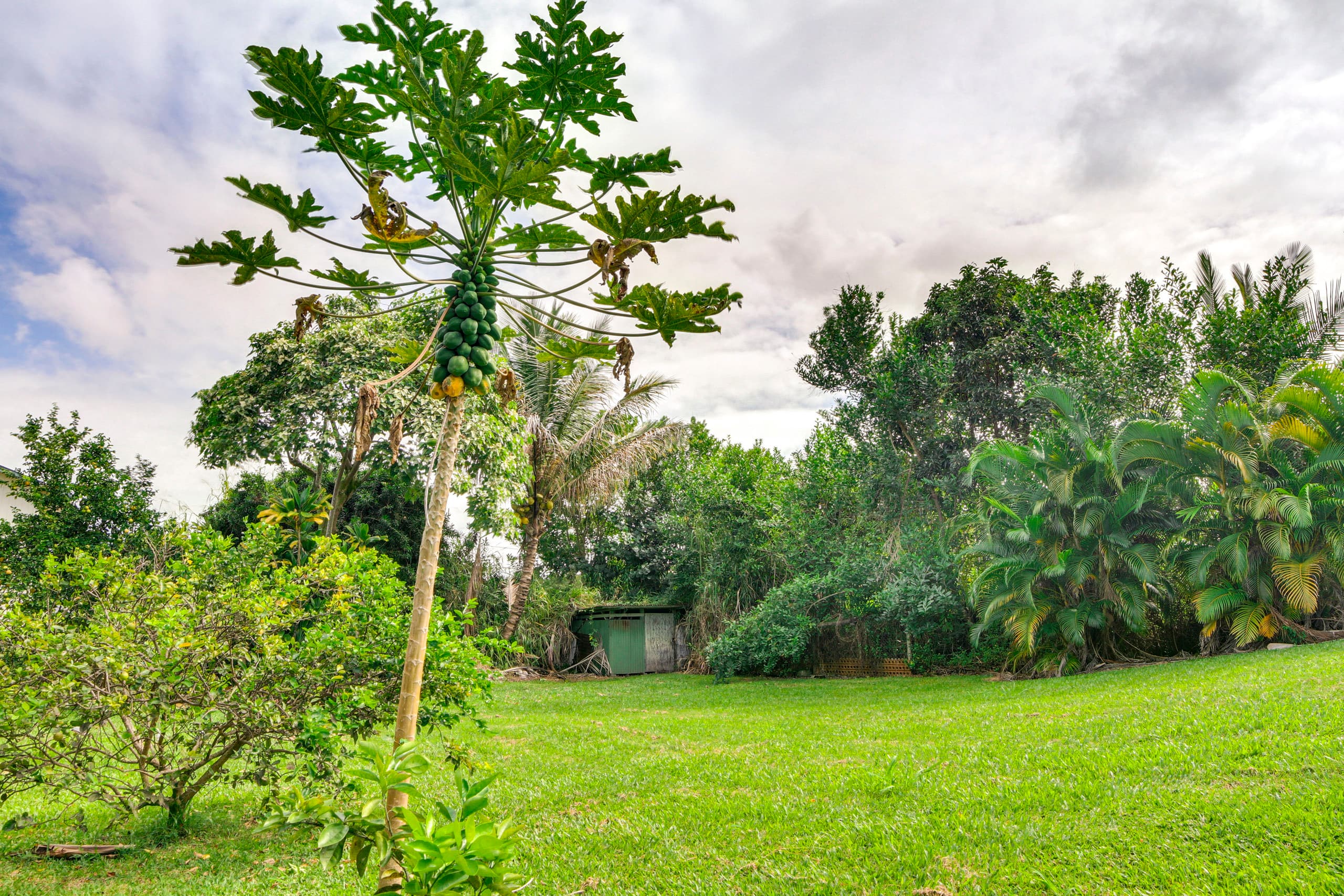 Home in Hilo · ★4.66 · 3 bedrooms · 3 beds · 2 shared baths - Image 28