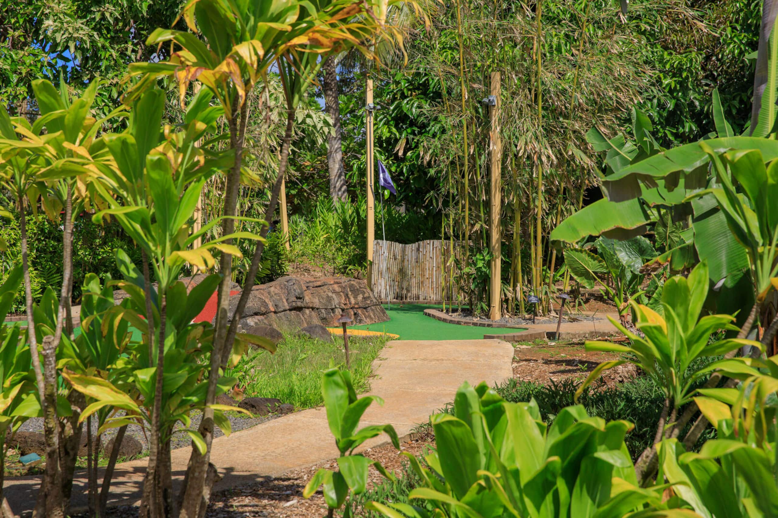 Townhouse in Princeville · ★4.88 · 3 bedrooms · 3 beds · 2.5 baths - Image 35
