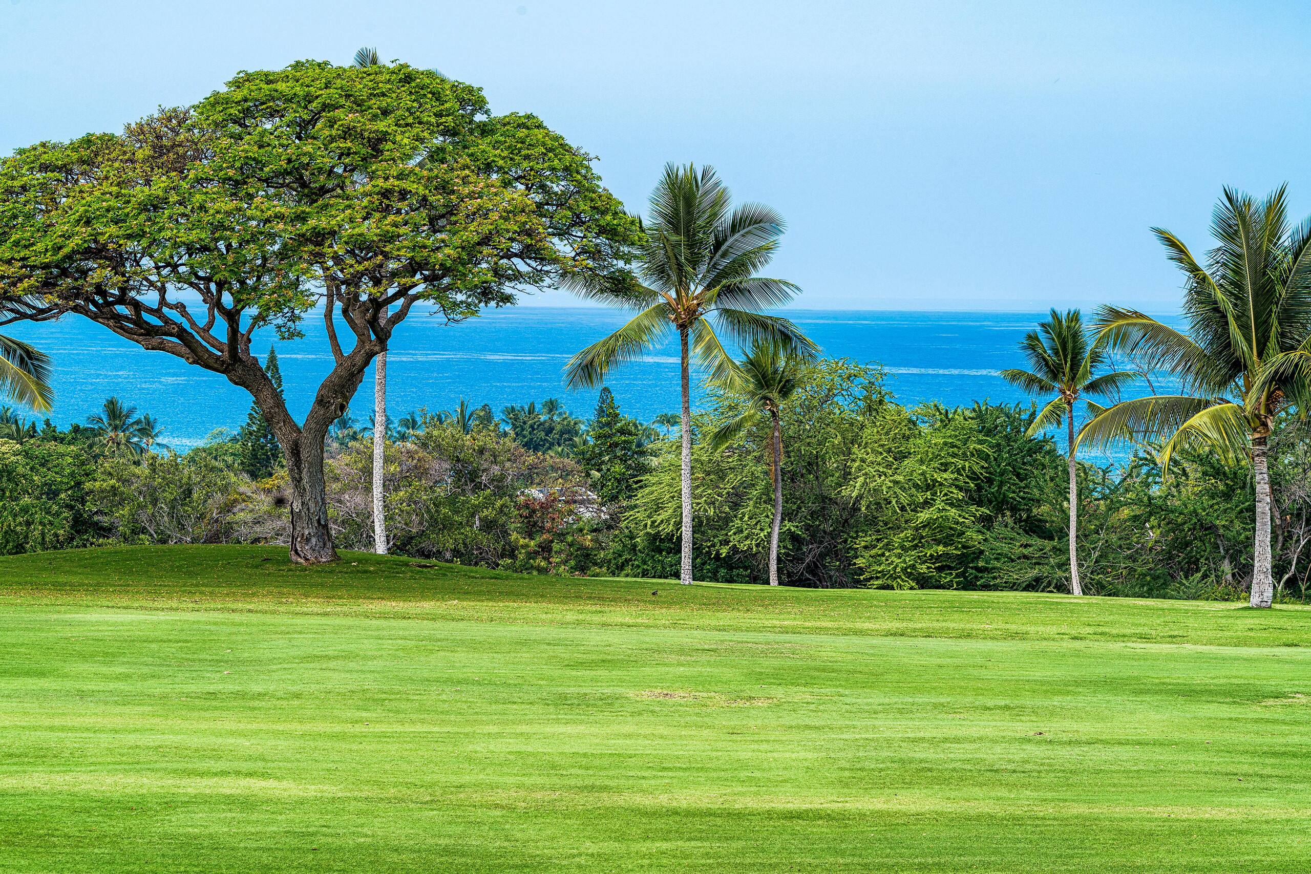 Condo in Kailua-Kona · ★4.89 · 2 bedrooms · 3 beds · 2 private baths - Image 23