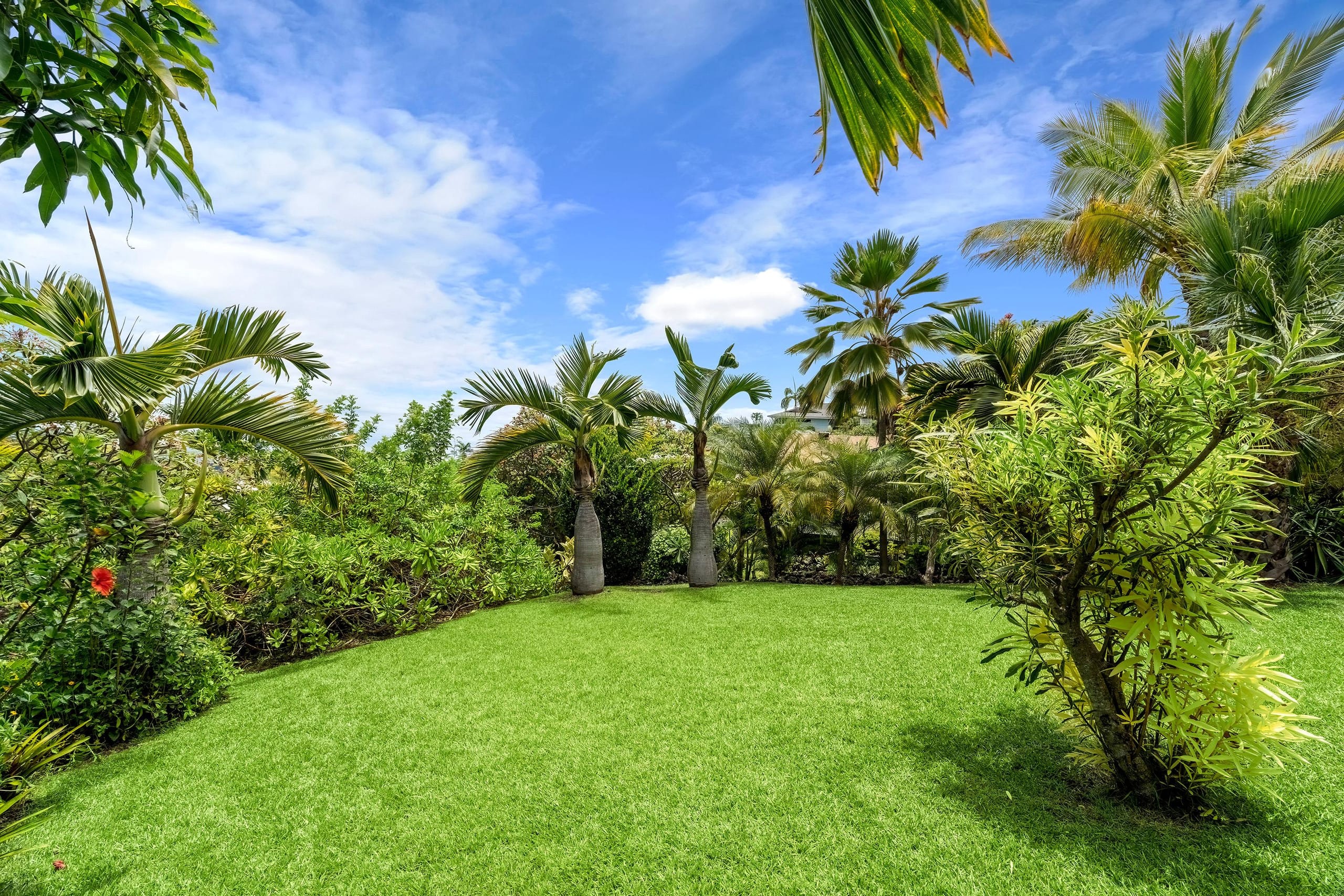 Home in Kailua-Kona · ★4.9 · 4 bedrooms · 6 beds · 3 private baths - Image 42