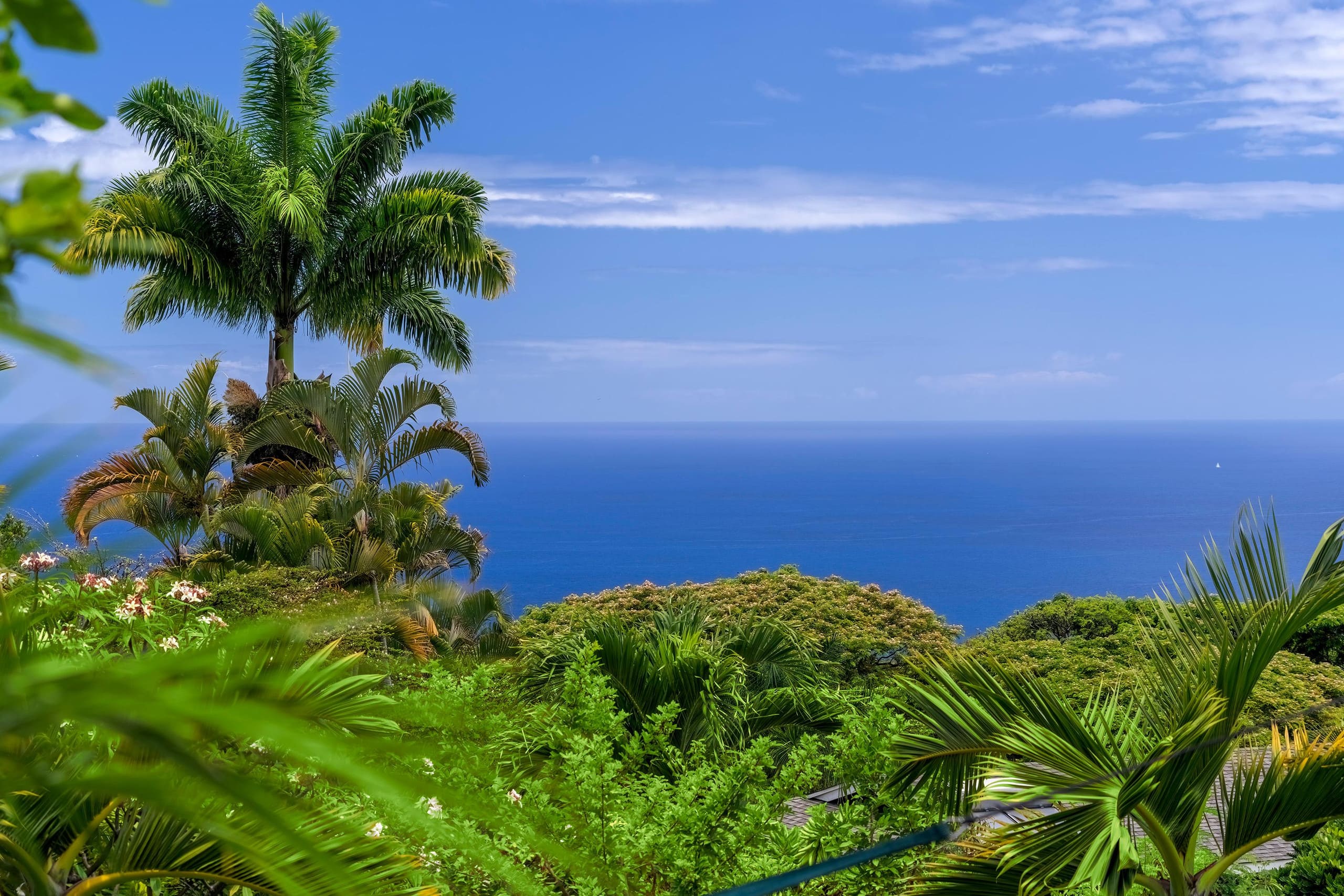 Home in Kailua-Kona · ★4.9 · 4 bedrooms · 6 beds · 3 private baths - Image 10