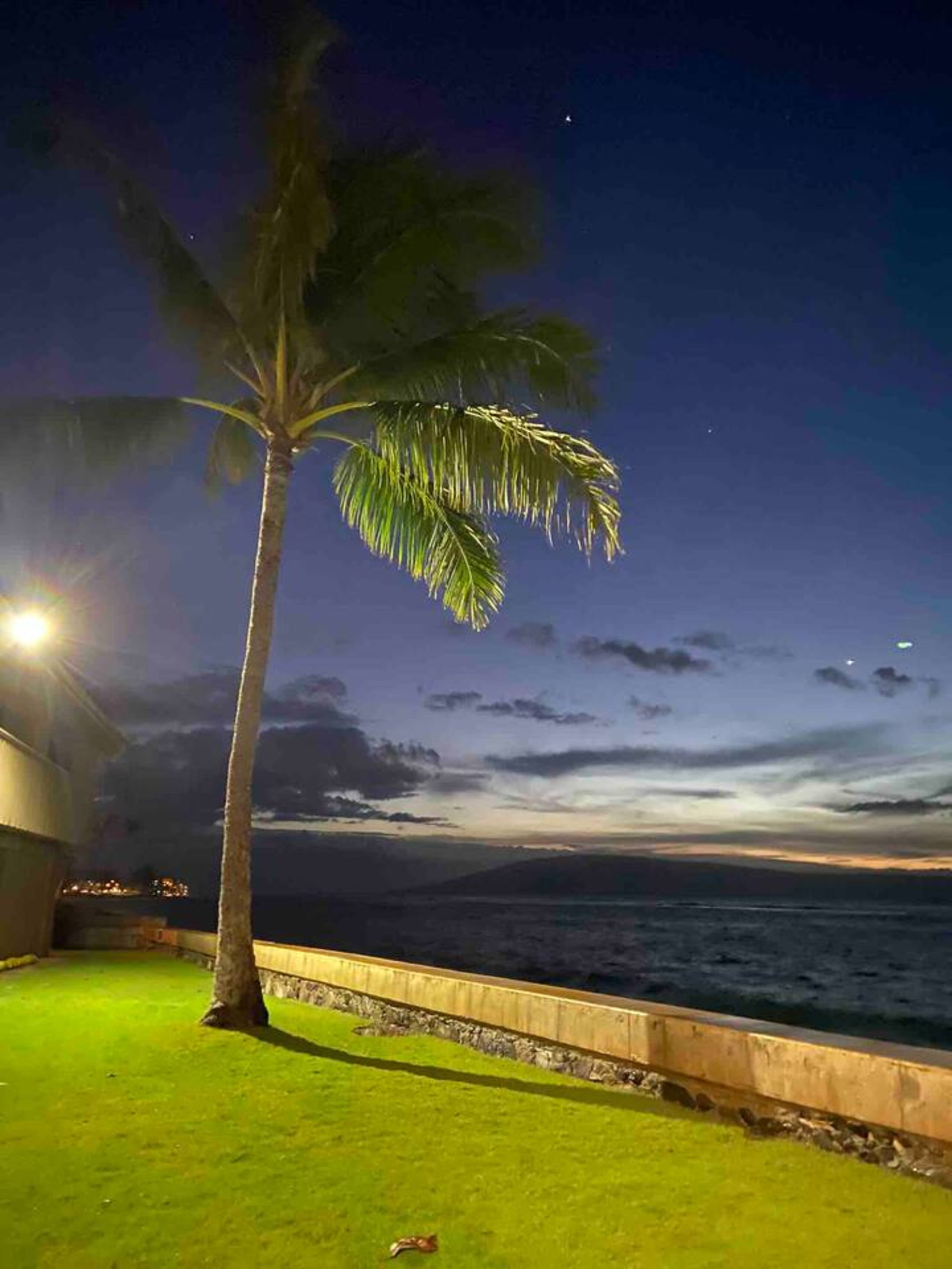 The Lucky Mango Across St. Fr Ocean Lush Gardens - Image 31