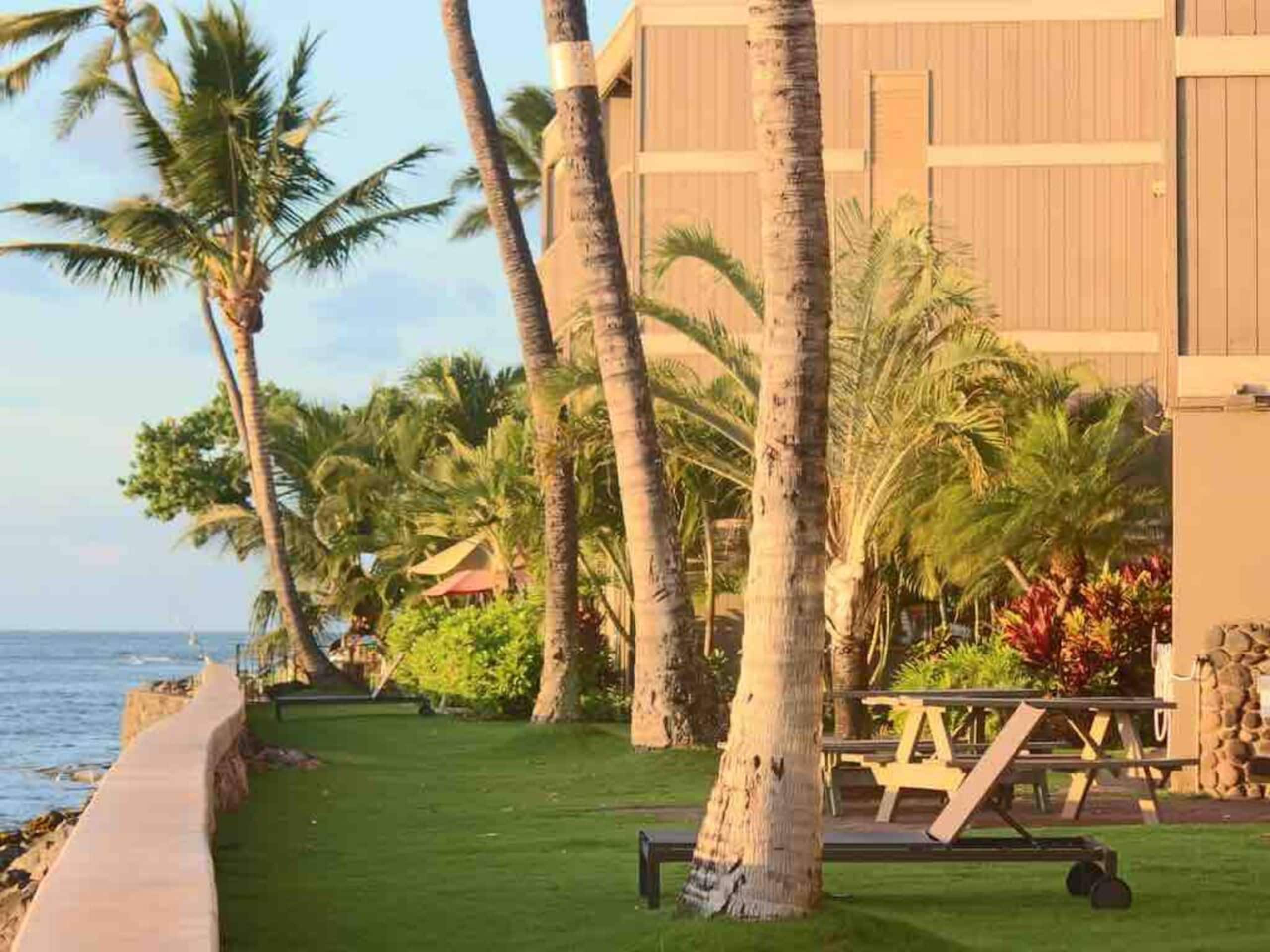 The Lucky Mango Across St. Fr Ocean Lush Gardens - Image 27