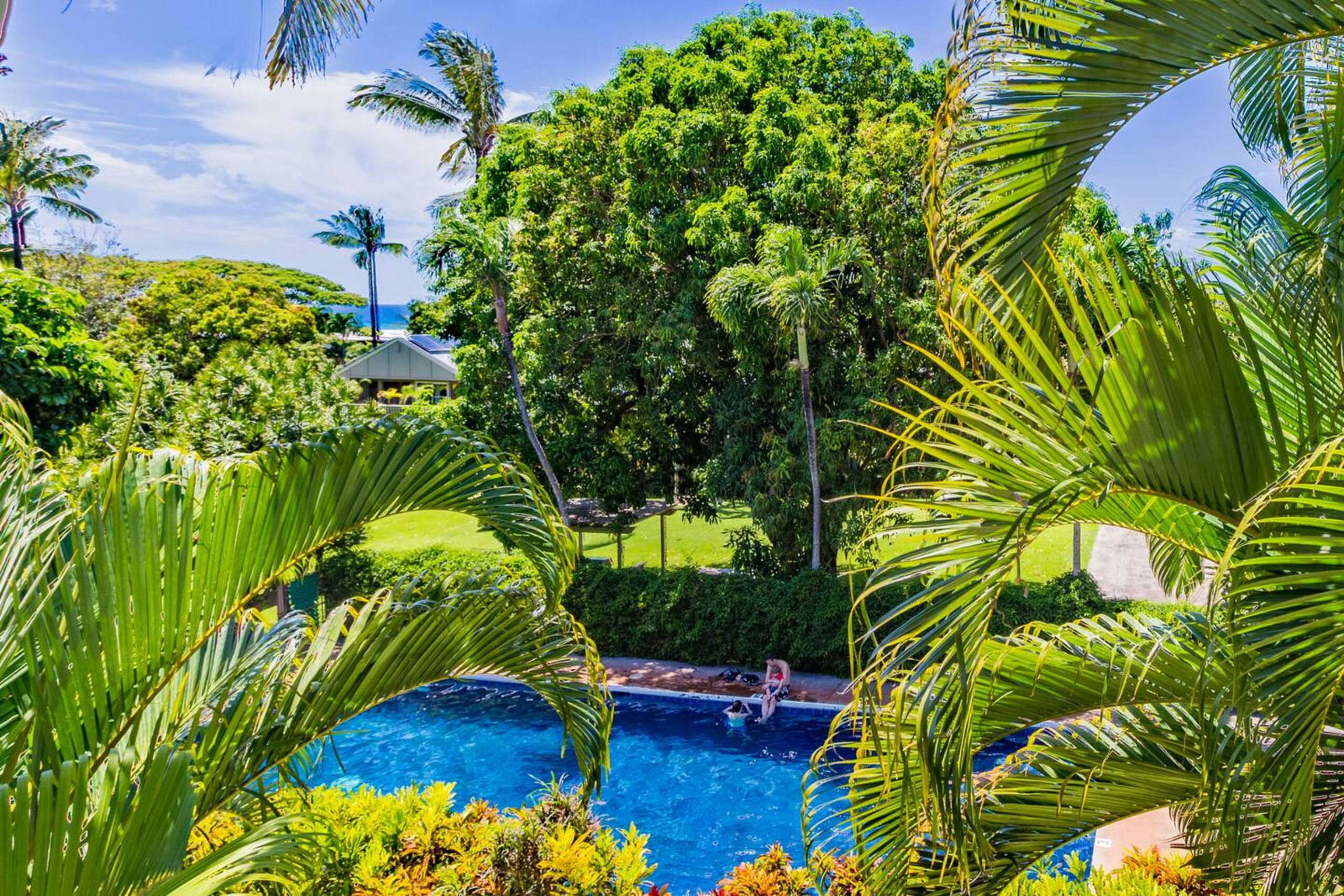 The Lucky Mango Across St. Fr Ocean Lush Gardens - Image 19