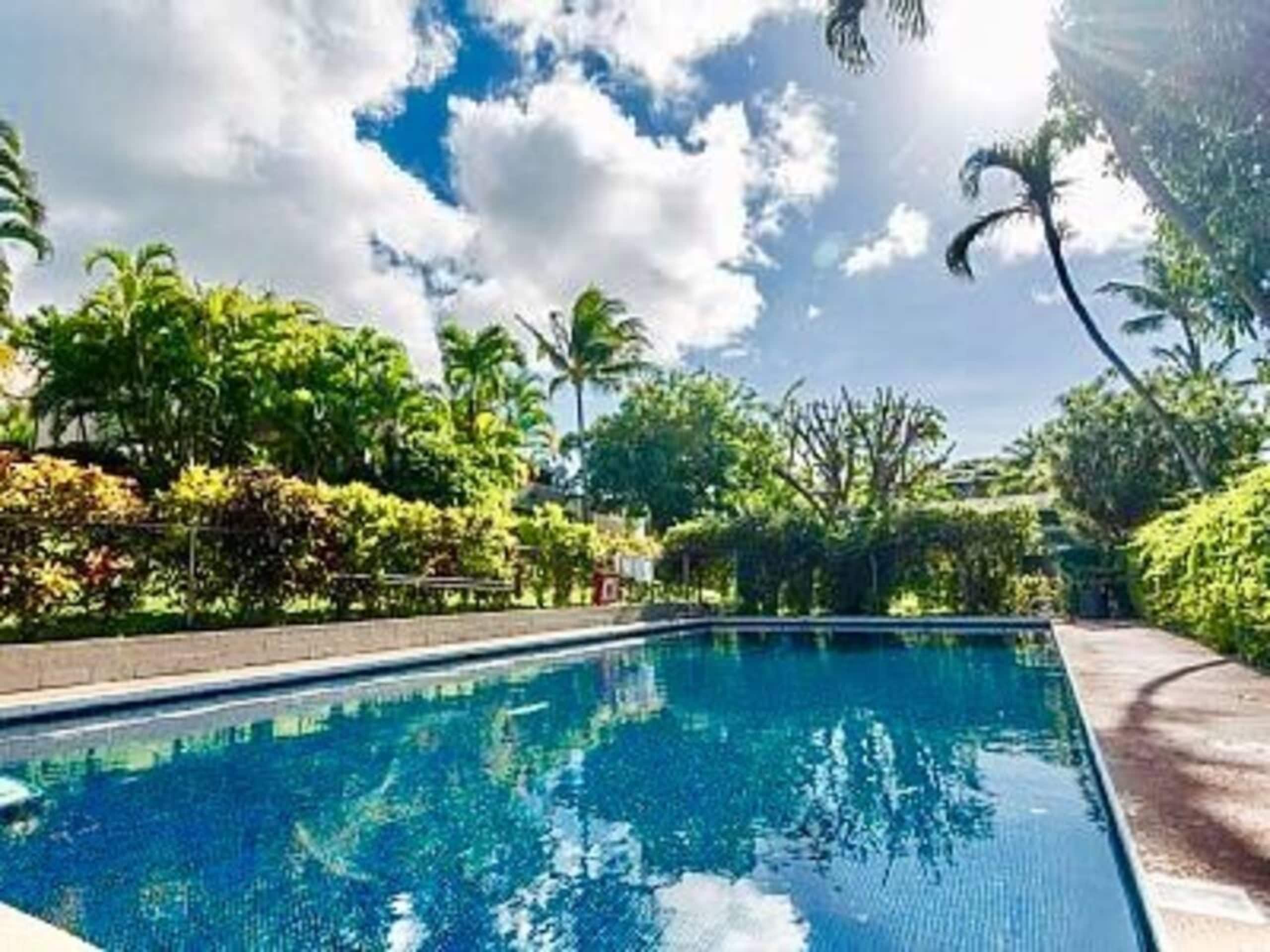 The Lucky Mango Across St. Fr Ocean Lush Gardens - Image 20