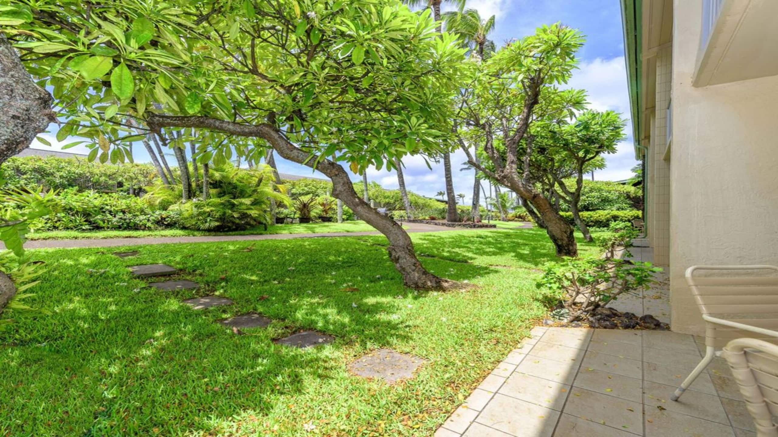 Condo in Lahaina · ★4.4 · 1 bedroom · 2 beds · 1 bath - Image 10