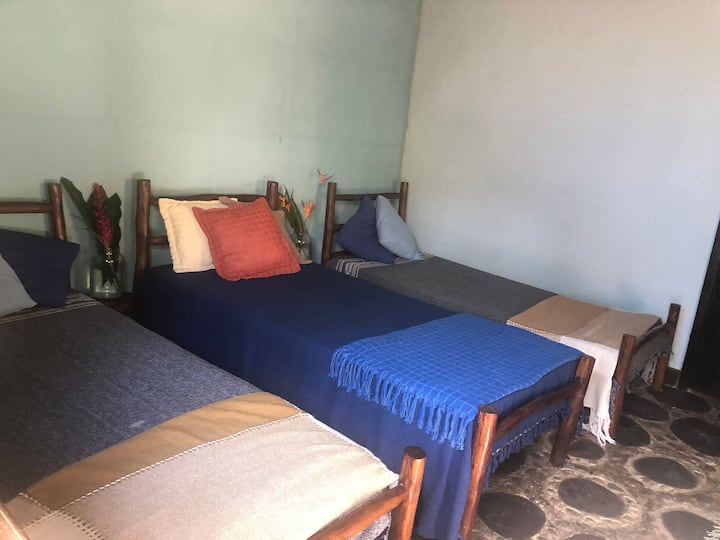 Quarto
