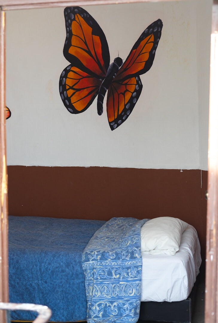 A bright room features a large butterfly mural on the wall, bringing a pop of color to the space. A spacious bed is dressed with a blue patterned blanket, while a white pillow rests at the head, inviting relaxation.