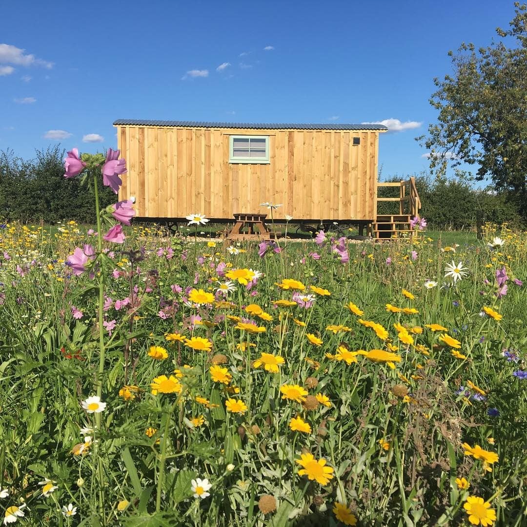 A wooden shepherd hut is set among a vibrant wildflower meadow, adorned with colorful flowers in shades of yellow and pink. The structure features a small staircase leading to the entrance and a window offering views of the surrounding nature.