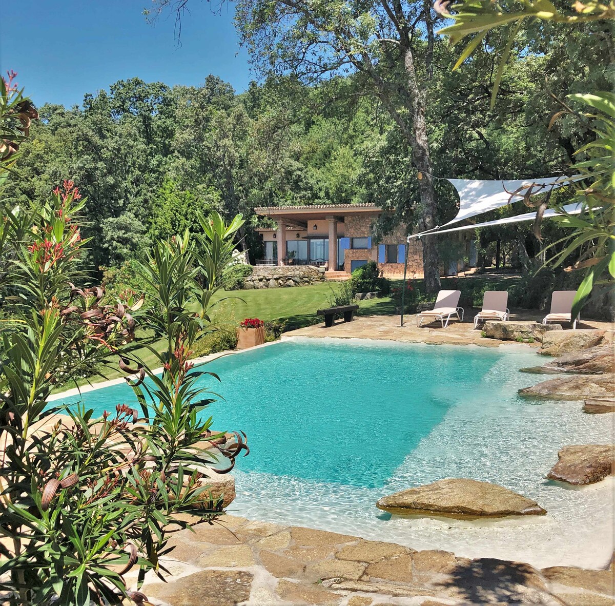 A serene outdoor pool, surrounded by natural stone elements and lush greenery, invites relaxation. Sun loungers are positioned nearby, providing an ideal spot to enjoy the tranquil setting. A shaded area adds comfort, complementing the scenic views of the surrounding trees and landscape.