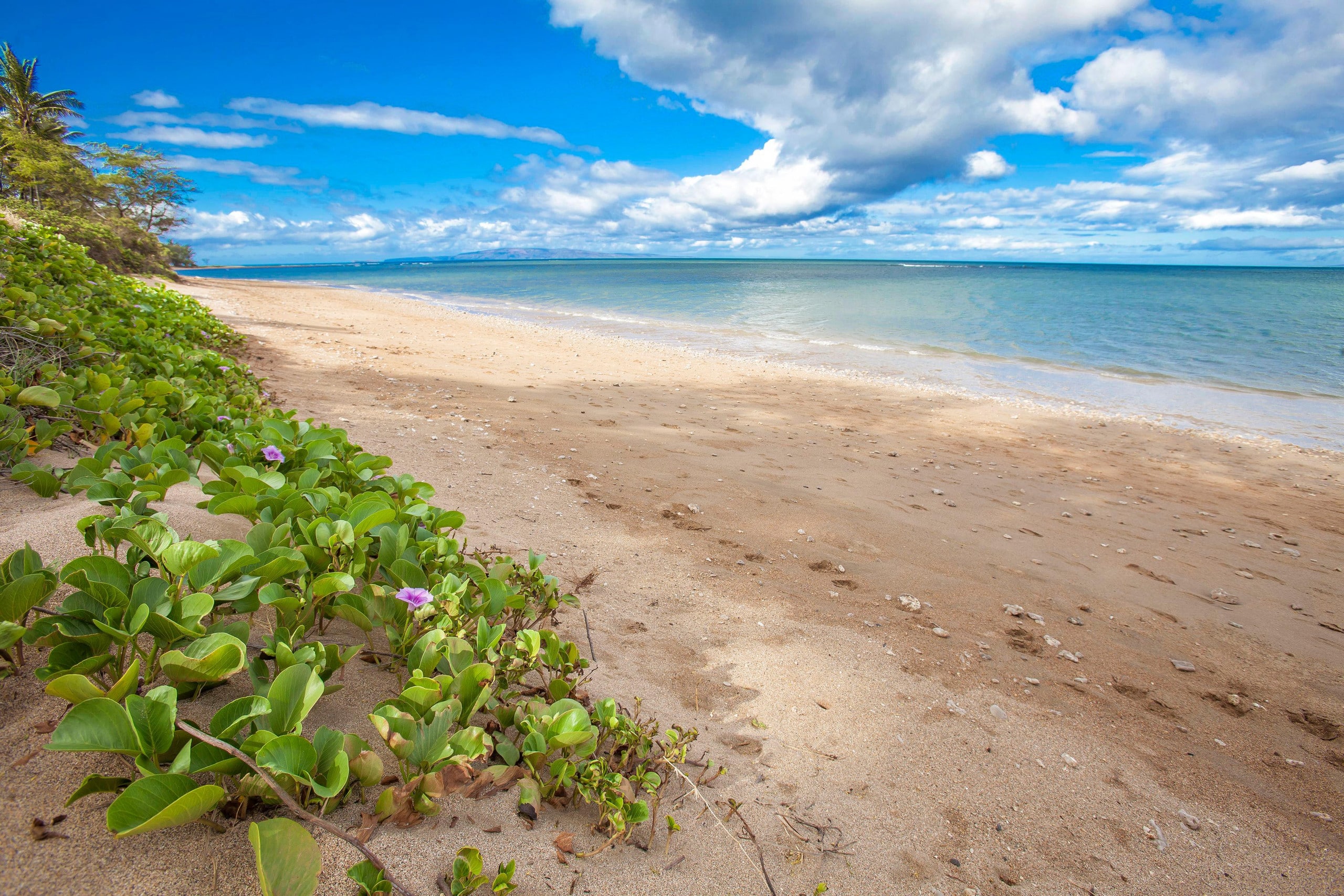 Condo in Kihei · ★4.73 · 2 bedrooms · 2 beds · 2 baths - Image 55
