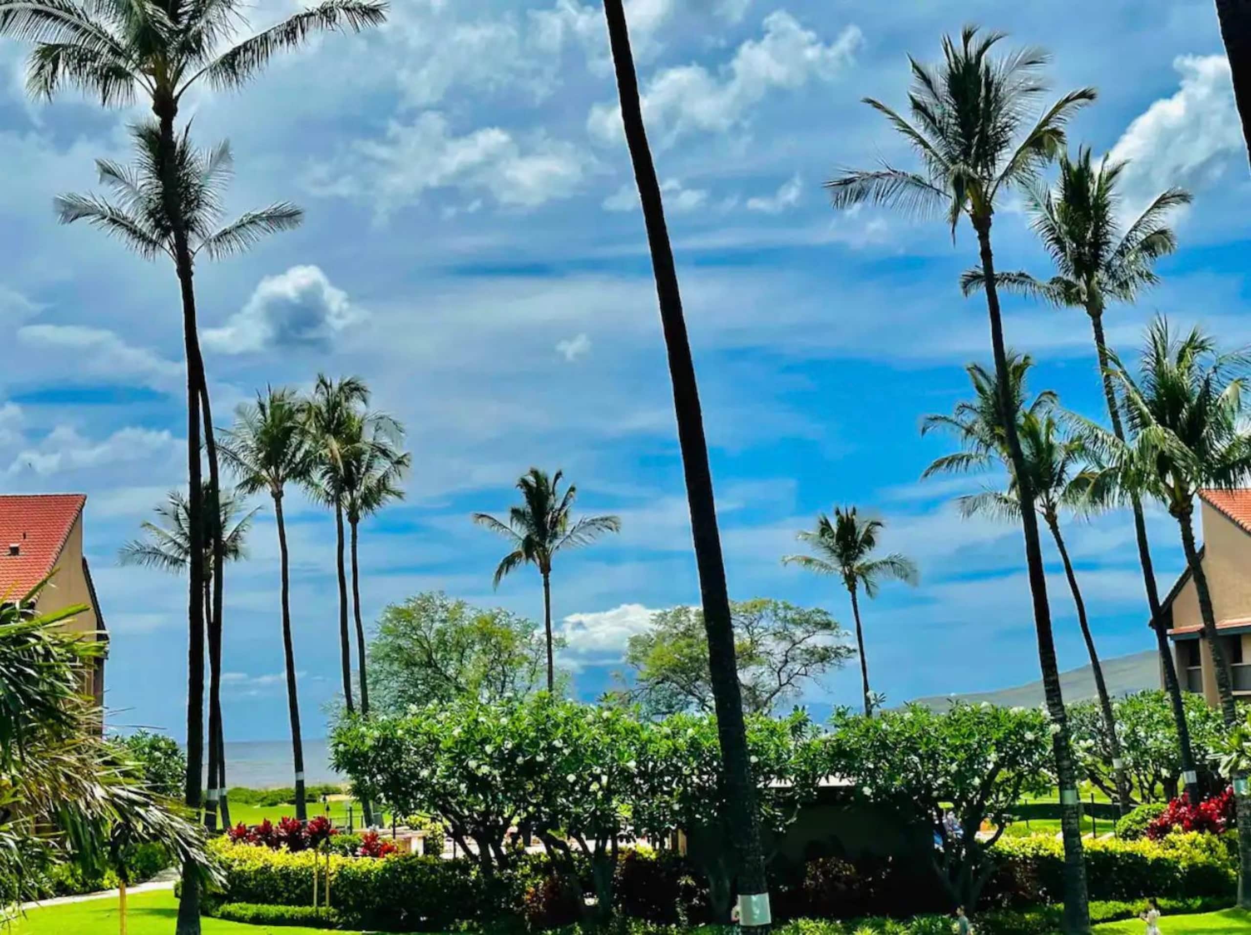 Condo in Kihei · ★4.73 · 2 bedrooms · 2 beds · 2 baths - Image 46