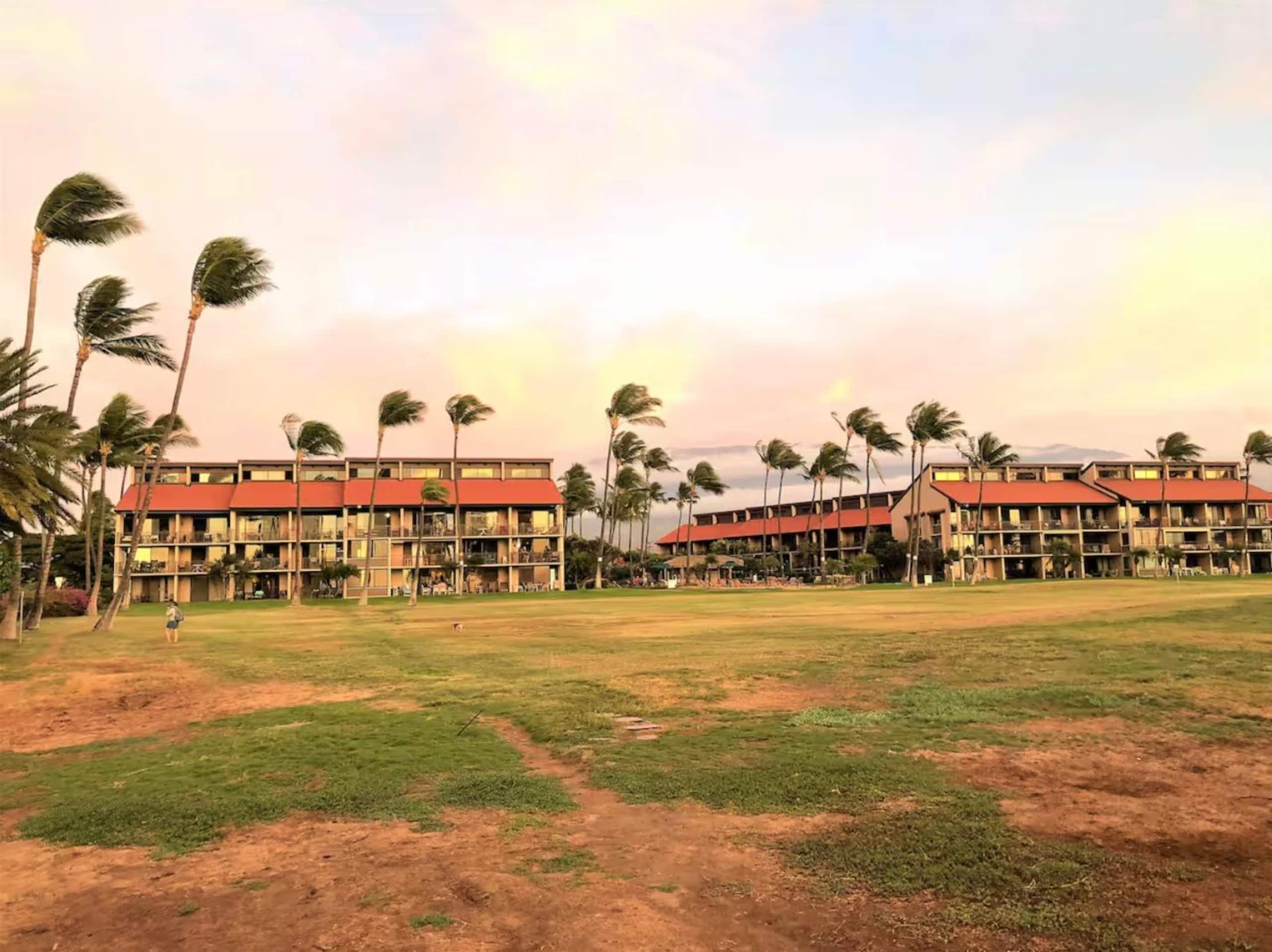 Condo in Kihei · ★4.73 · 2 bedrooms · 2 beds · 2 baths - Image 45