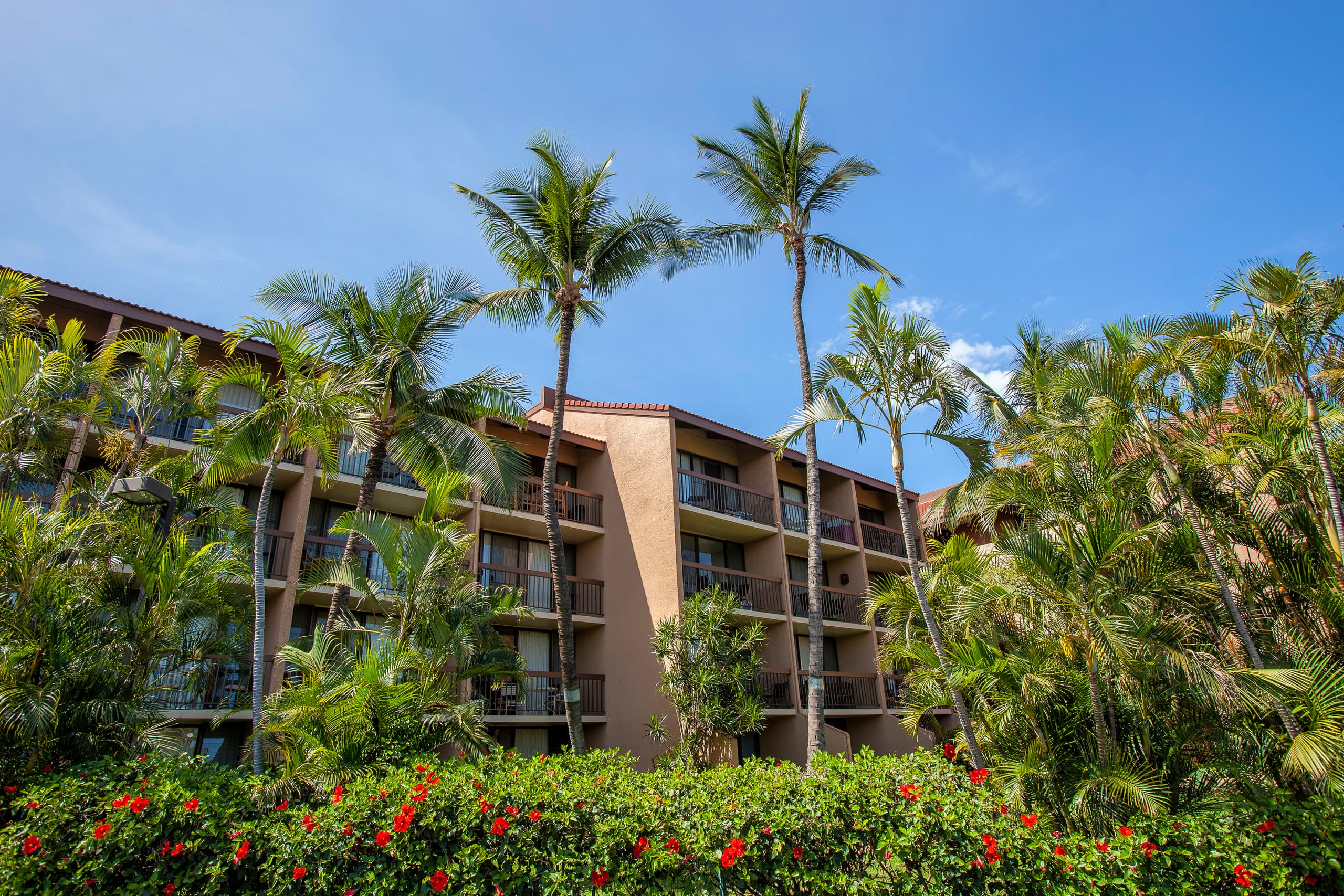 Condo in Kihei · ★4.17 · 1 bedroom · 2 beds · 1 bath - Image 31