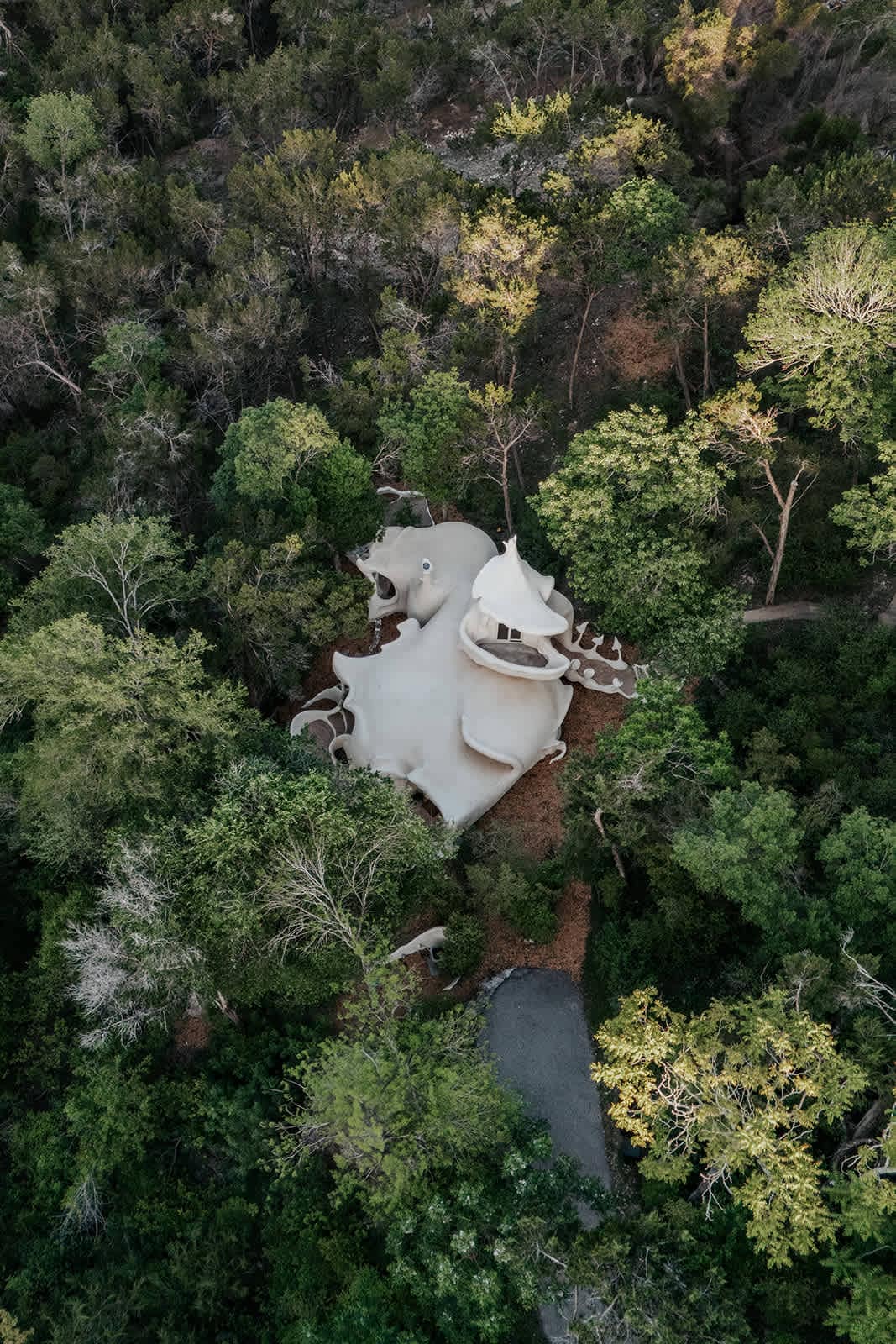 The Iconic Bloomhouse | Romantic Austin Escape