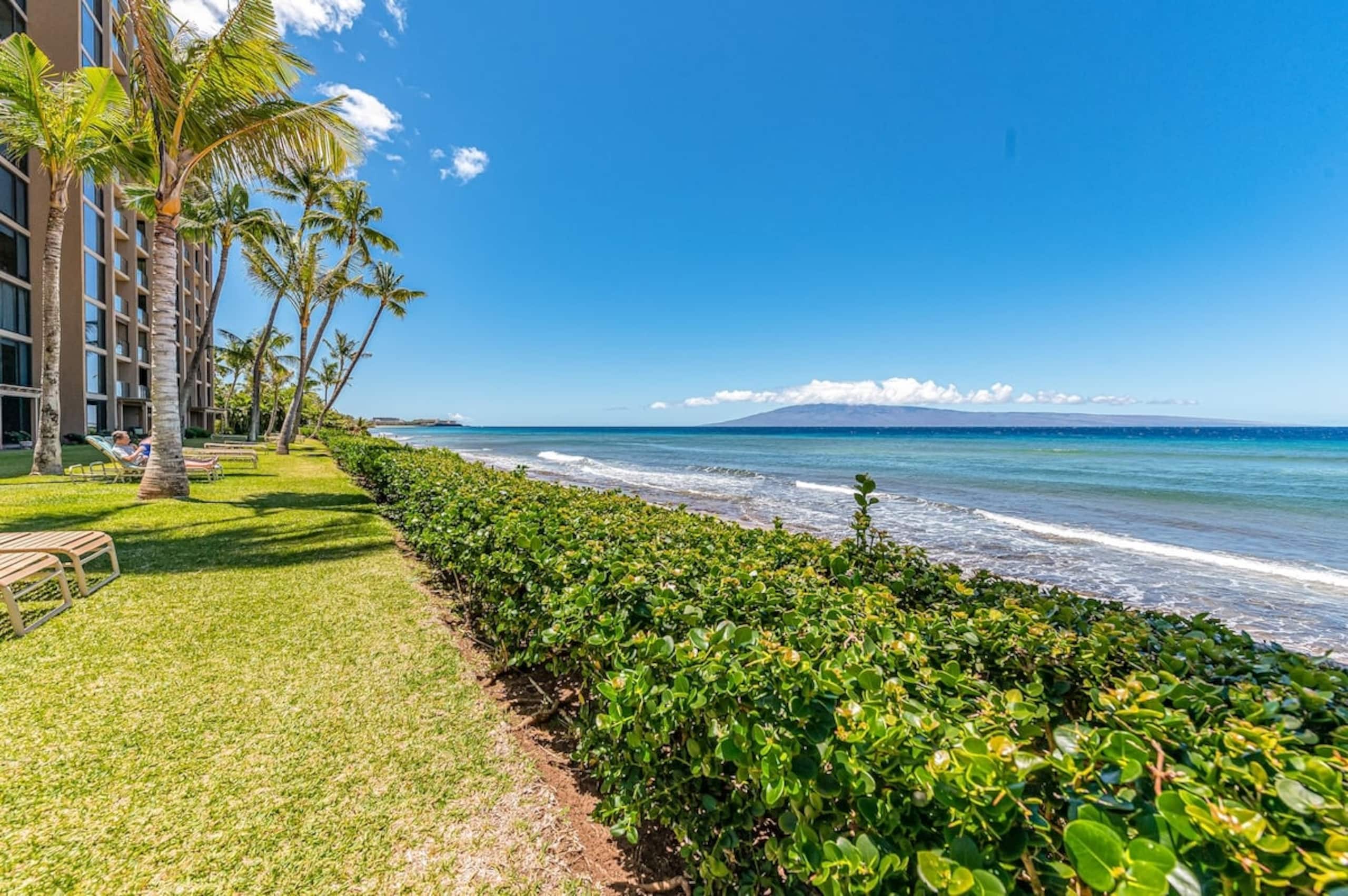 Condo in Lahaina · ★4.87 · 1 bedroom · 1 bed · 1 bath - Image 38