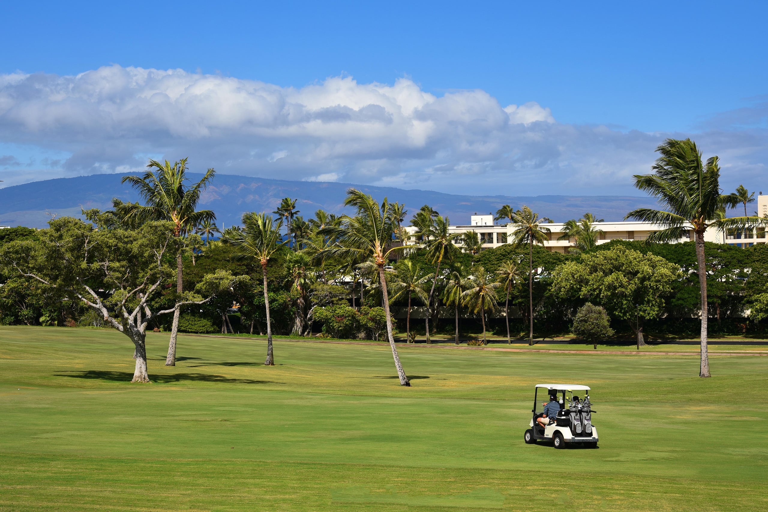 Home in Kaanapali · ★4.85 · Studio · 1 bed · 1 private bath - Image 46