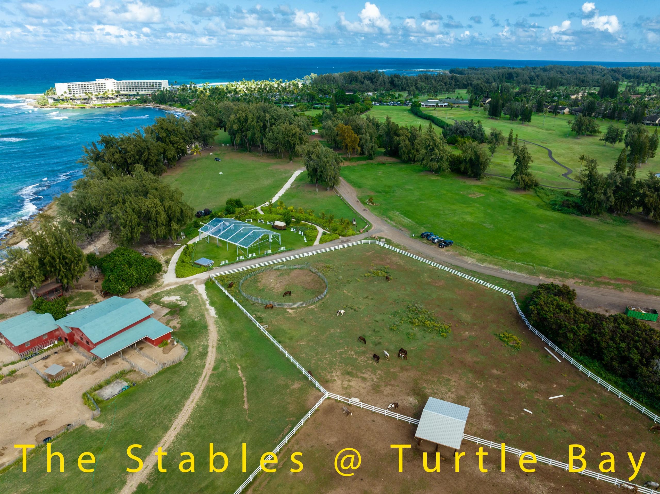 Turtle Bay Top Floor Studio unit 164 with Split AC - Image 26
