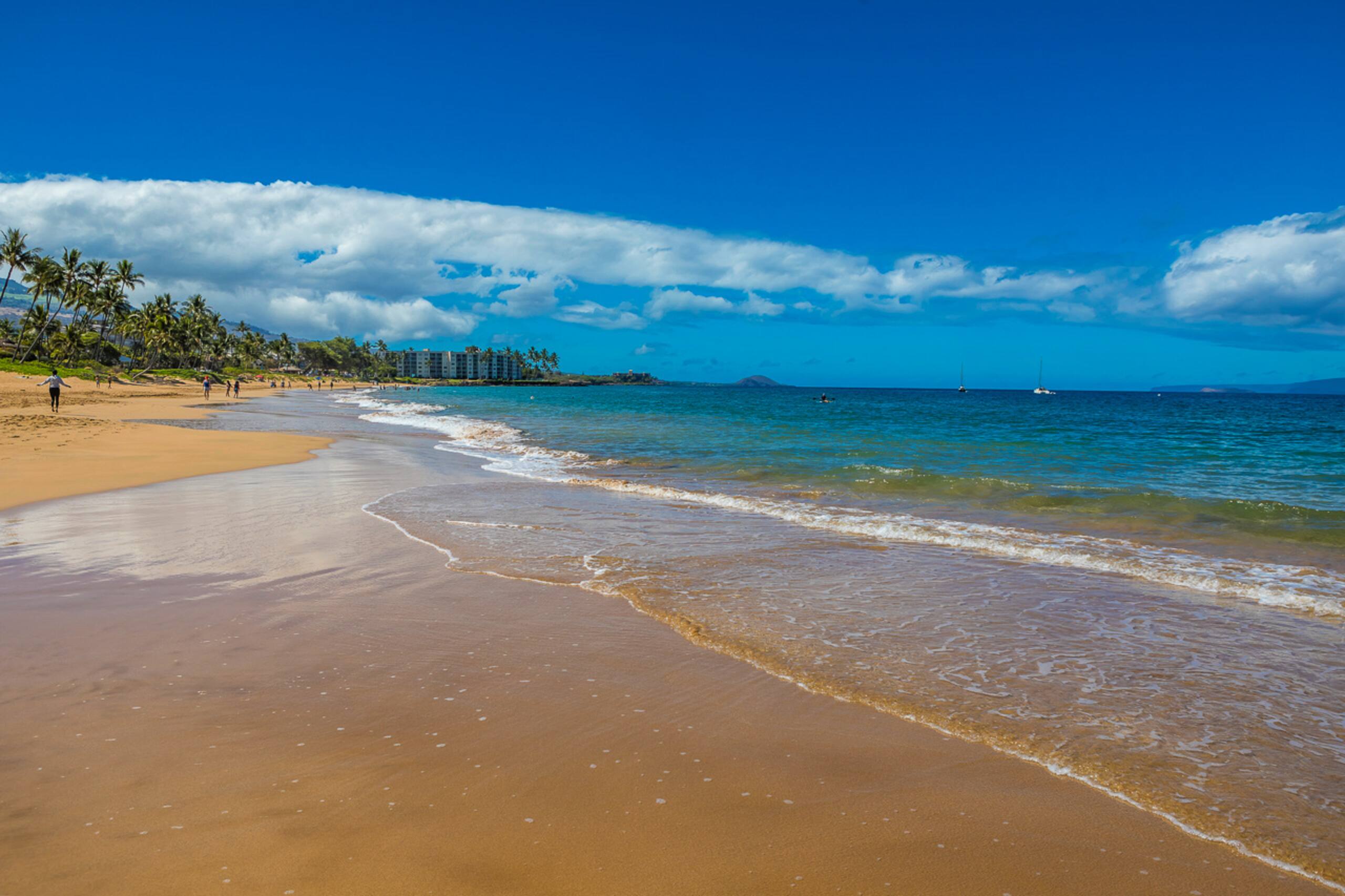 Condo in Kihei · ★4.91 · 1 bedroom · 2 beds · 2 shared baths - Image 44