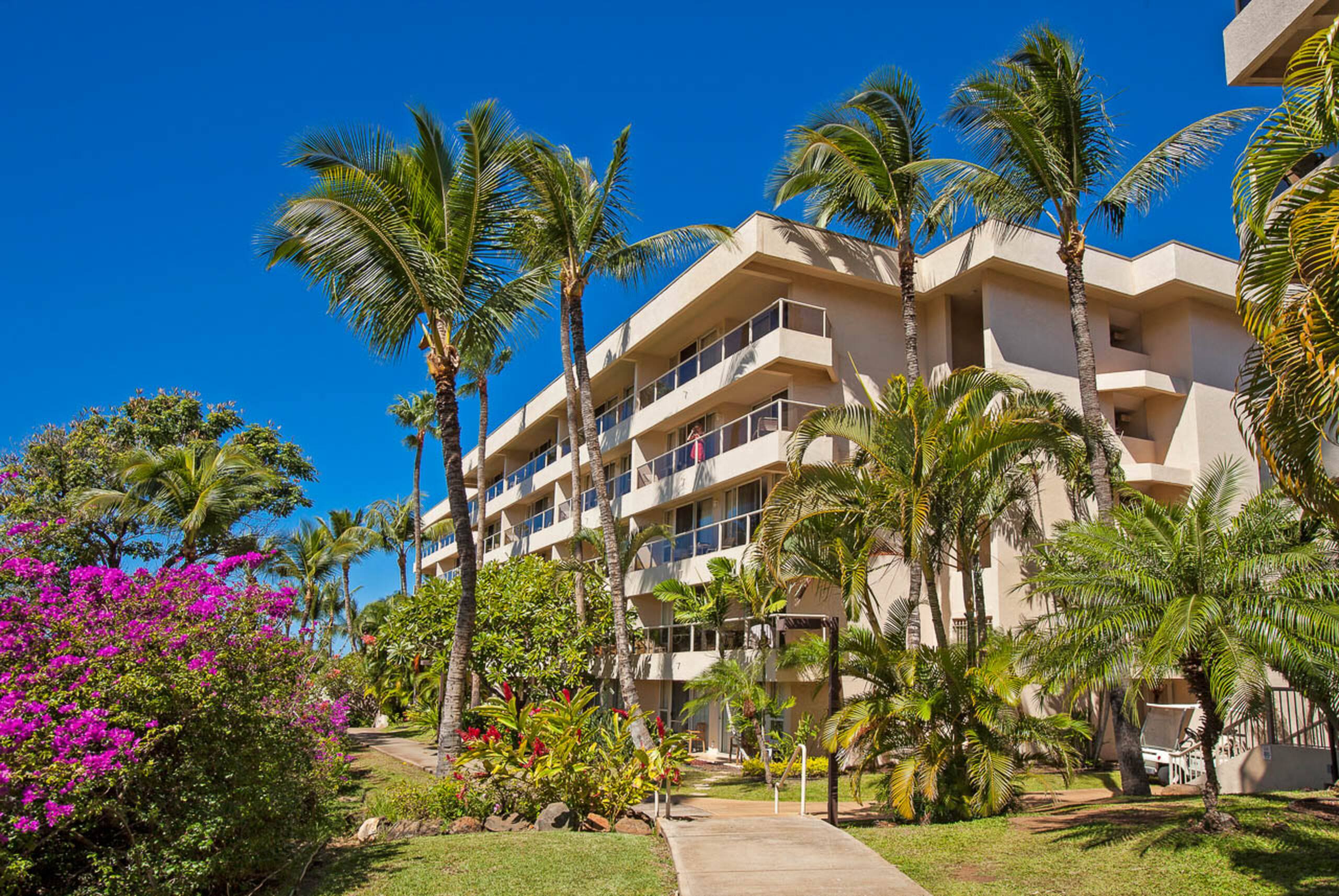 Condo in Kihei · ★4.91 · 1 bedroom · 2 beds · 2 shared baths - Image 39