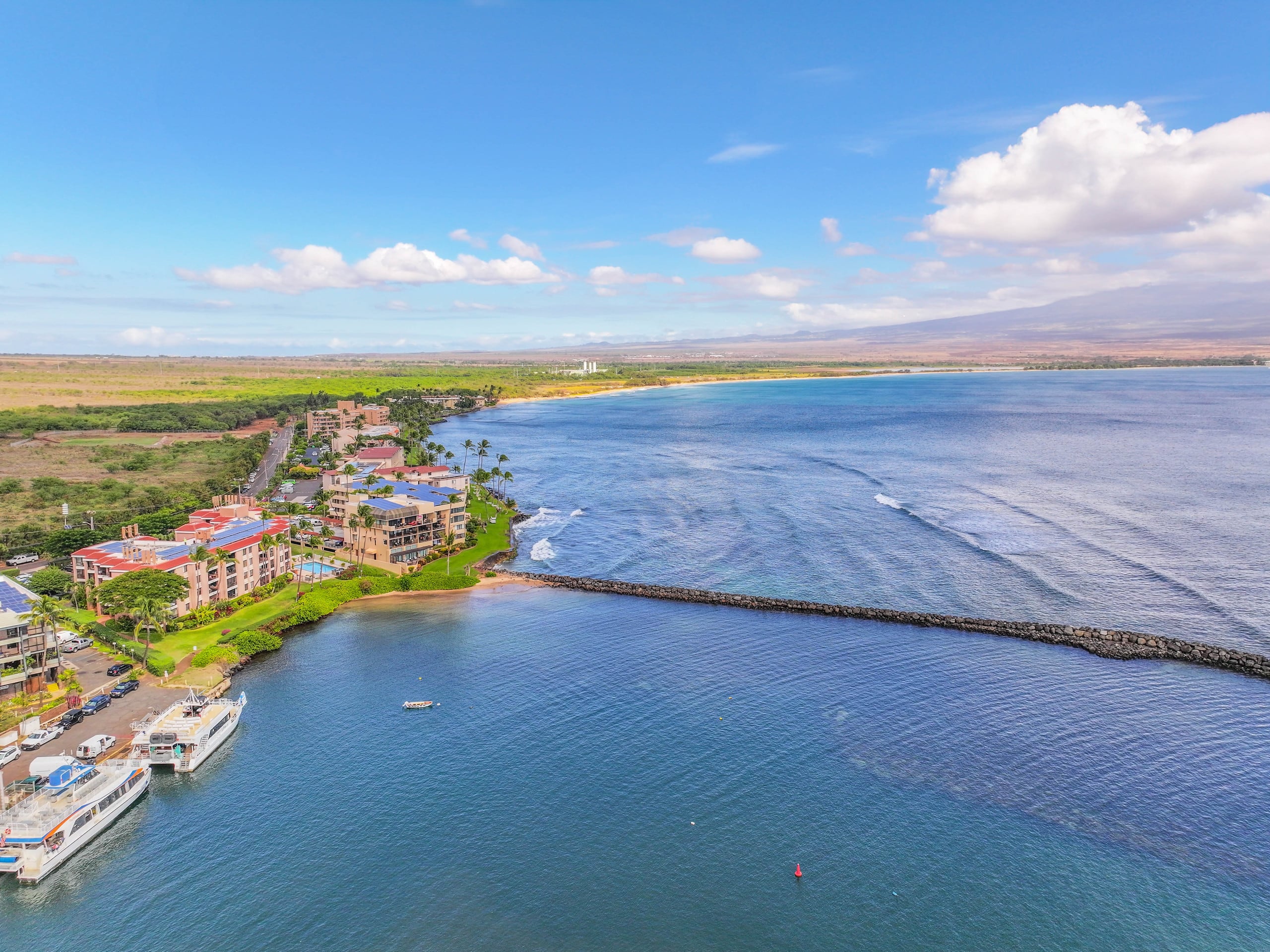 Condo in Wailuku · ★4.85 · 1 bedroom · 2 beds · 1 bath - Image 51