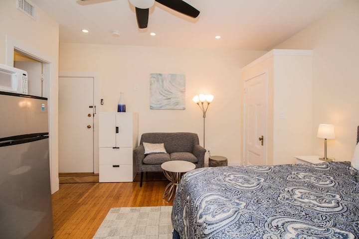 Renovated, Sunny, Spacious Studio in Boston