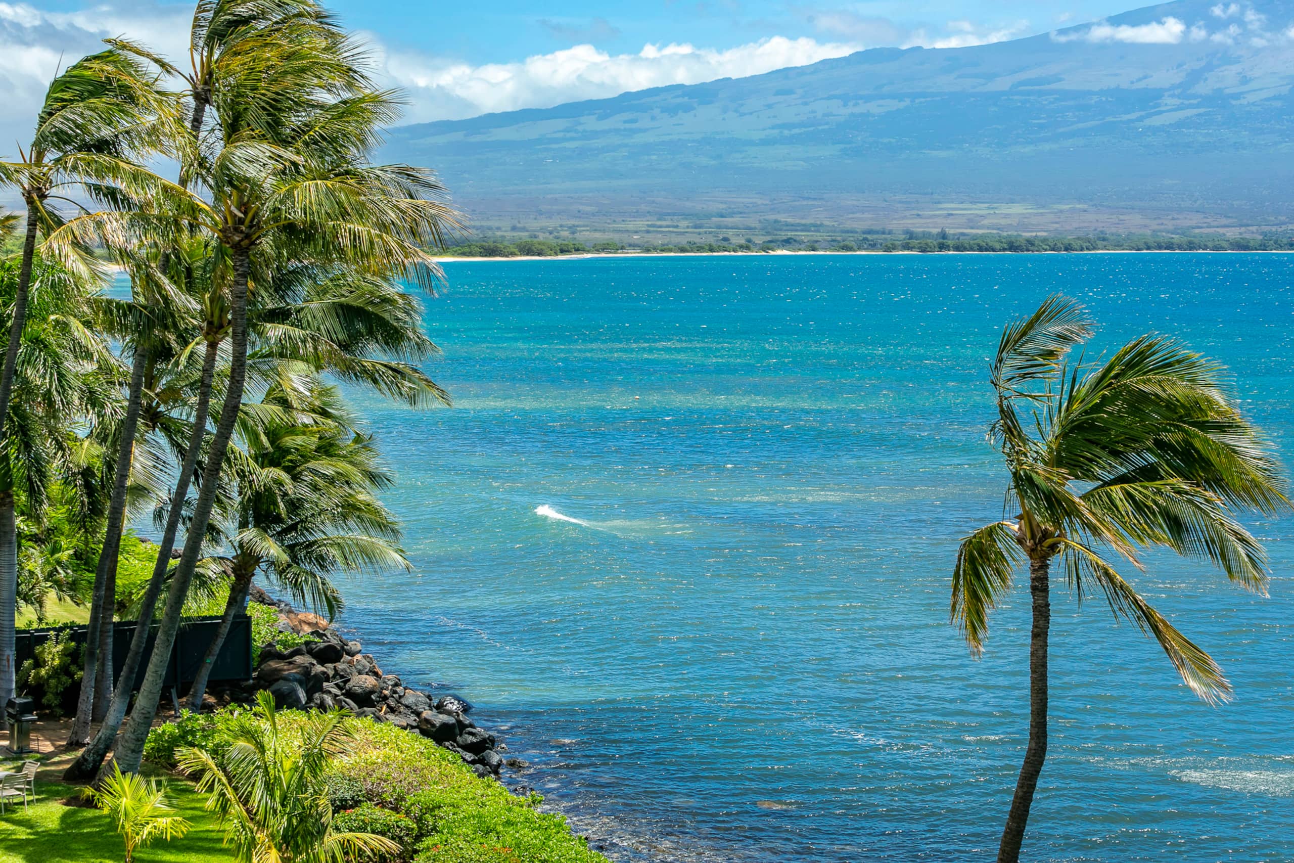 Condo in Wailuku · ★4.41 · 2 bedrooms · 2 beds · 2 shared baths - Image 3