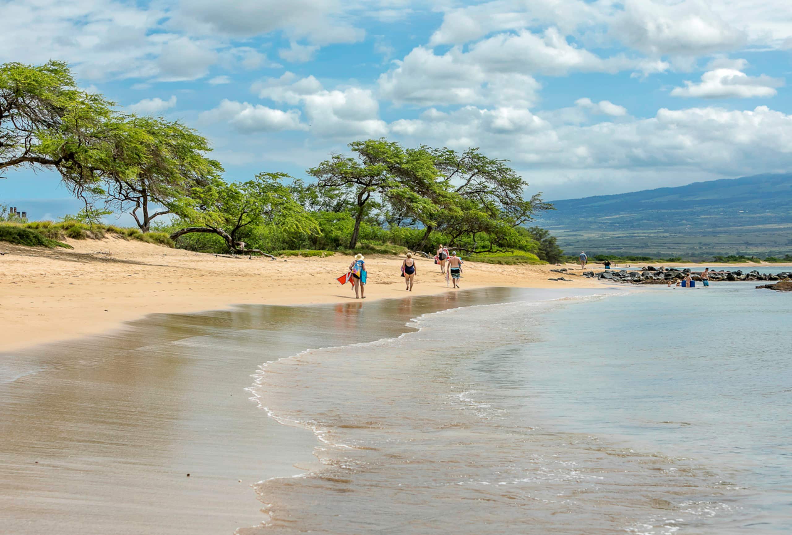 Condo in Wailuku · ★4.41 · 2 bedrooms · 2 beds · 2 shared baths - Image 37