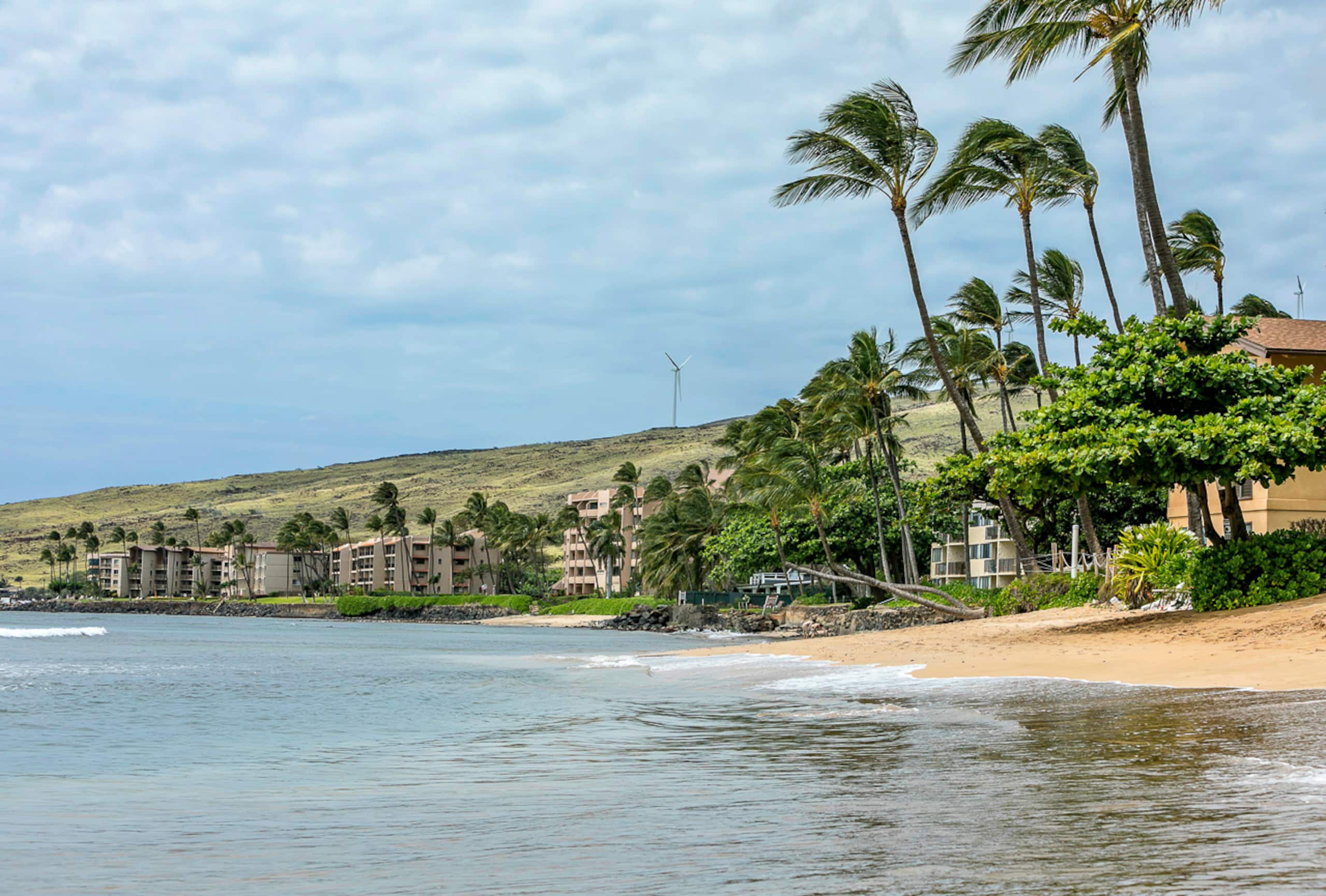 Condo in Wailuku · ★4.41 · 2 bedrooms · 2 beds · 2 shared baths - Image 36