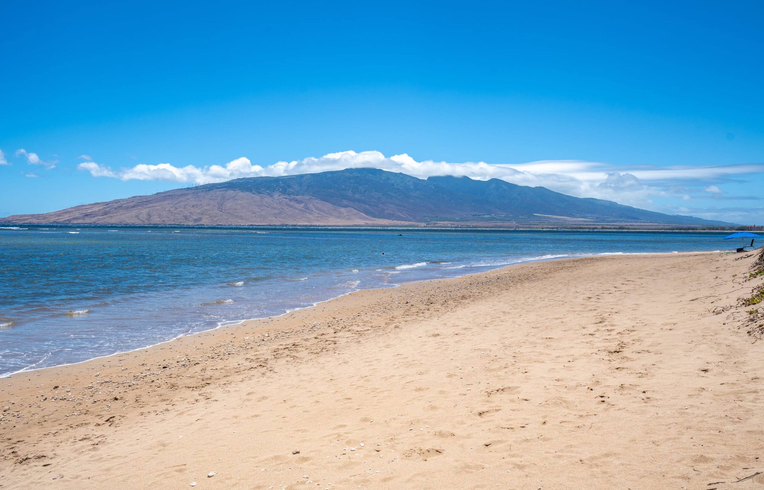 Condo in Kihei · ★4.96 · 1 bedroom · 2 beds · 1 private bath - Image 31