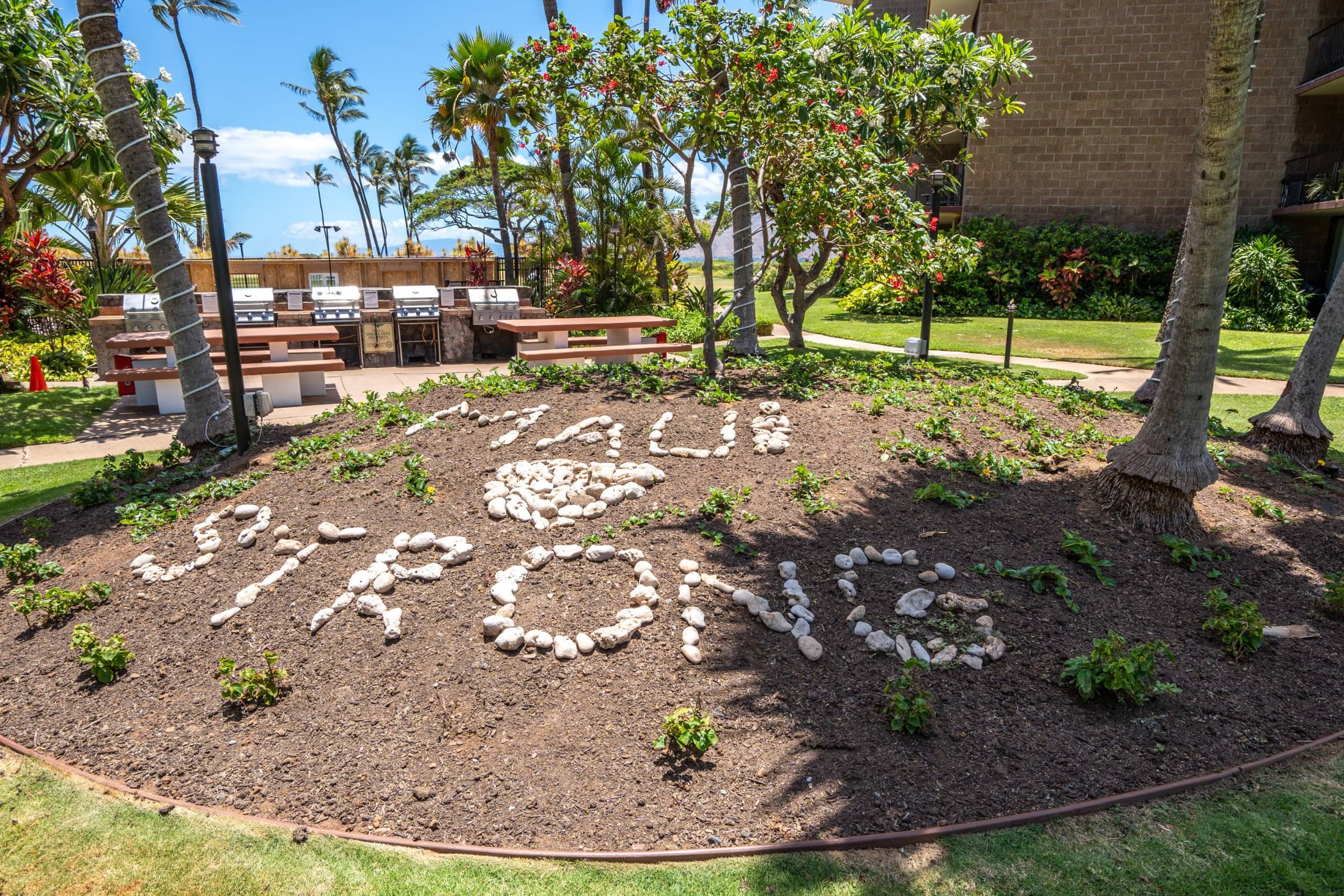 Condo in Kihei · ★4.96 · 1 bedroom · 2 beds · 1 private bath - Image 35