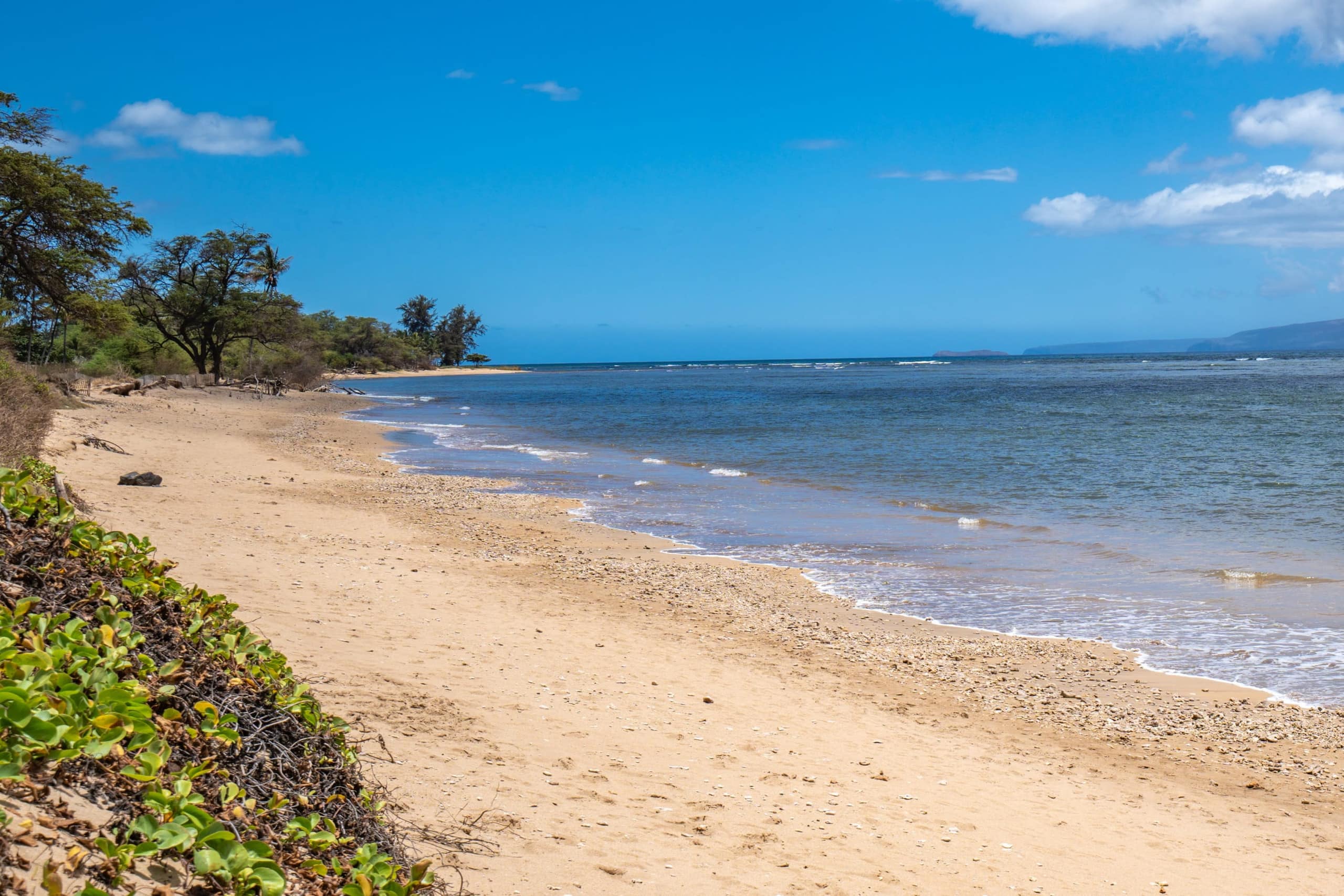 Condo in Kihei · ★4.96 · 1 bedroom · 2 beds · 1 private bath - Image 30