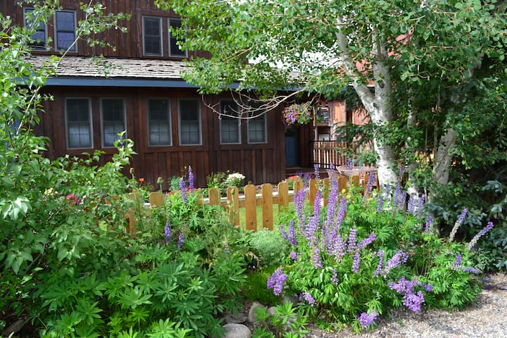 Beautiful Home In The Heart Of Town. - Crested Butte, CO