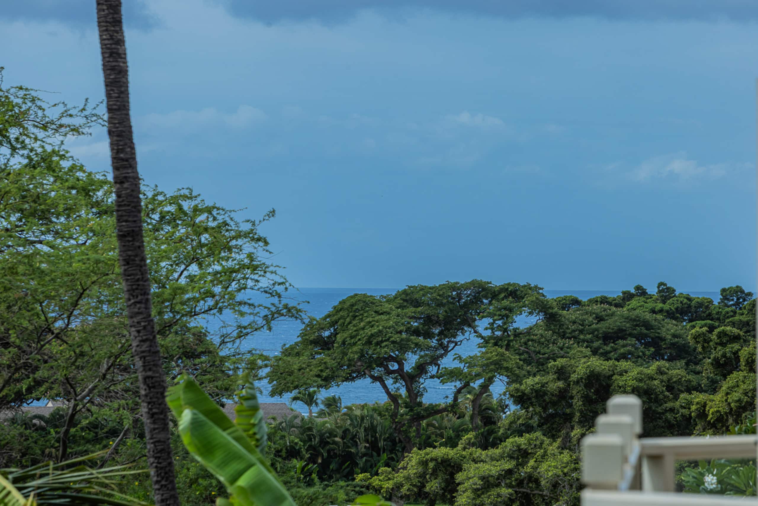 Condo in Wailea · ★4.96 · 2 bedrooms · 4 beds · 2 shared baths - Image 19