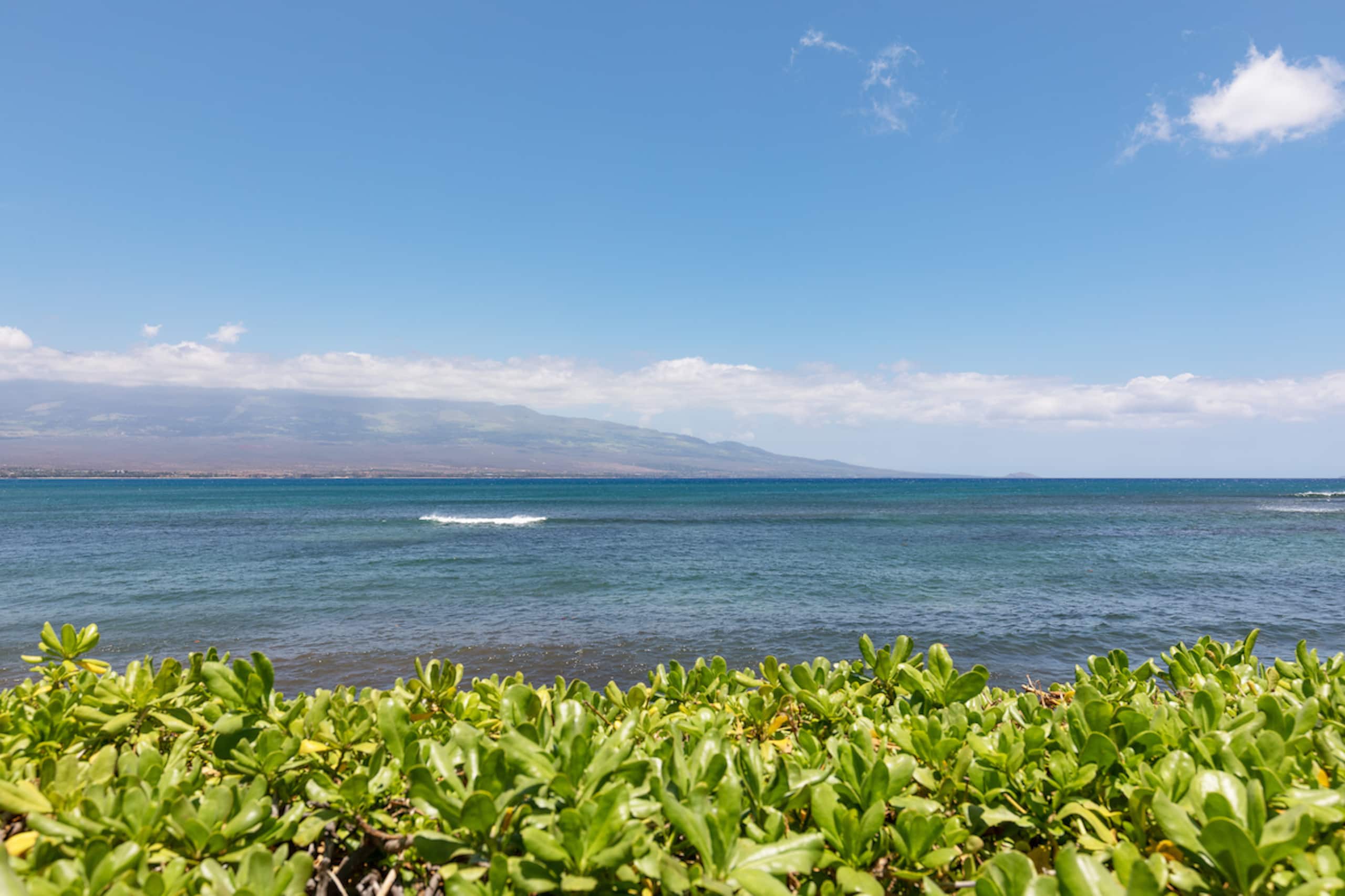 Condo in Wailuku · ★4.89 · 2 bedrooms · 2 beds · 2 baths - Image 36