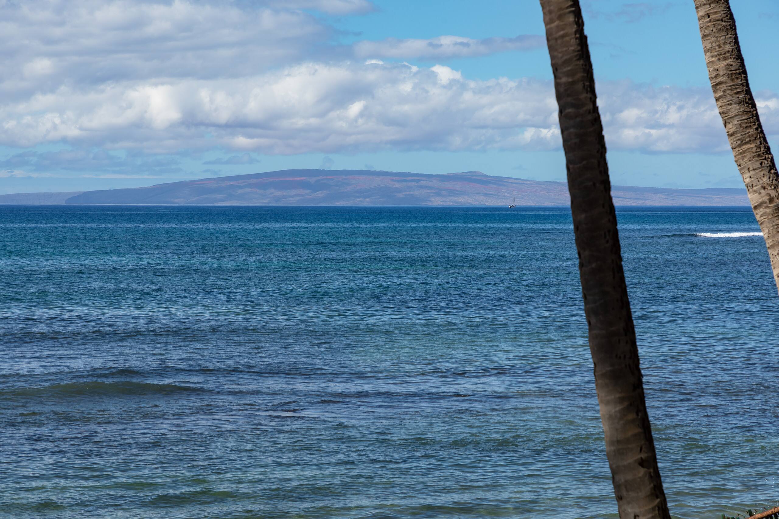 Condo in Wailuku · ★4.69 · 2 bedrooms · 3 beds · 2 shared baths - Image 42