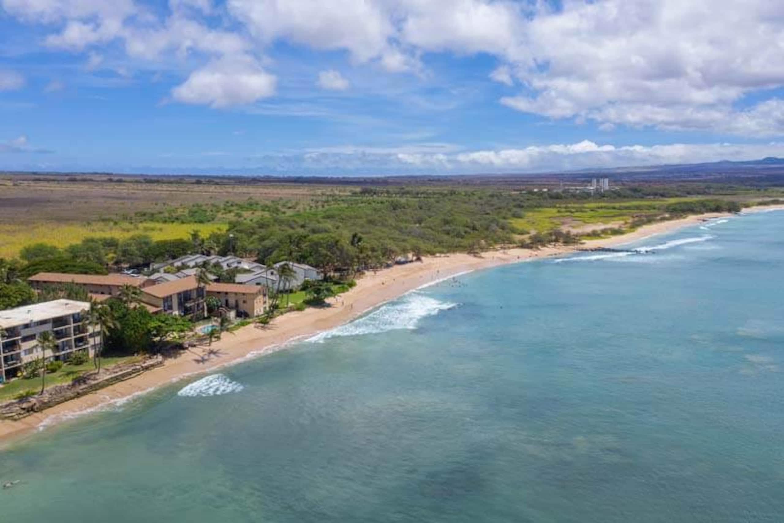 Condo in Wailuku · ★4.72 · 2 bedrooms · 3 beds · 2 baths - Image 35