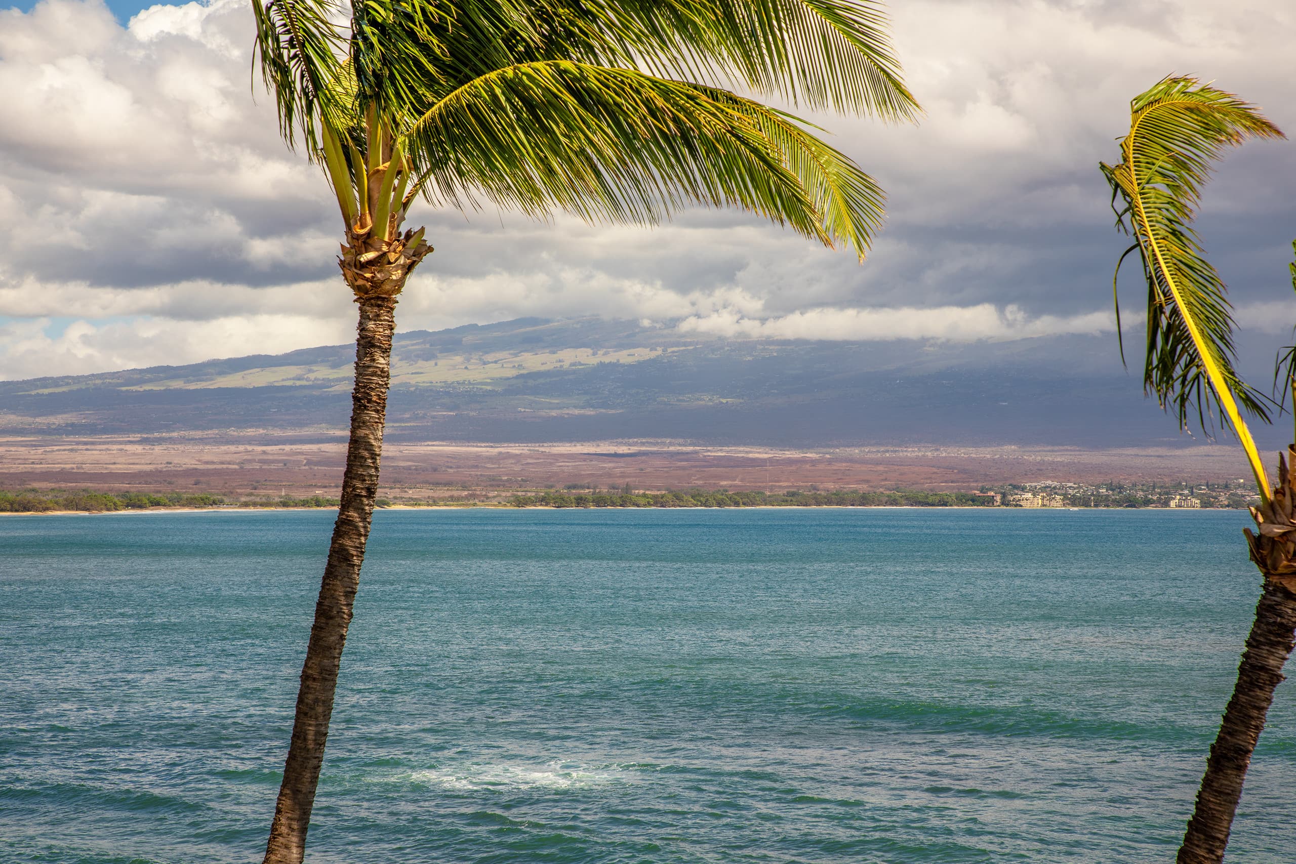 Condo in Wailuku · ★4.84 · 2 bedrooms · 4 beds · 2 baths - Image 41