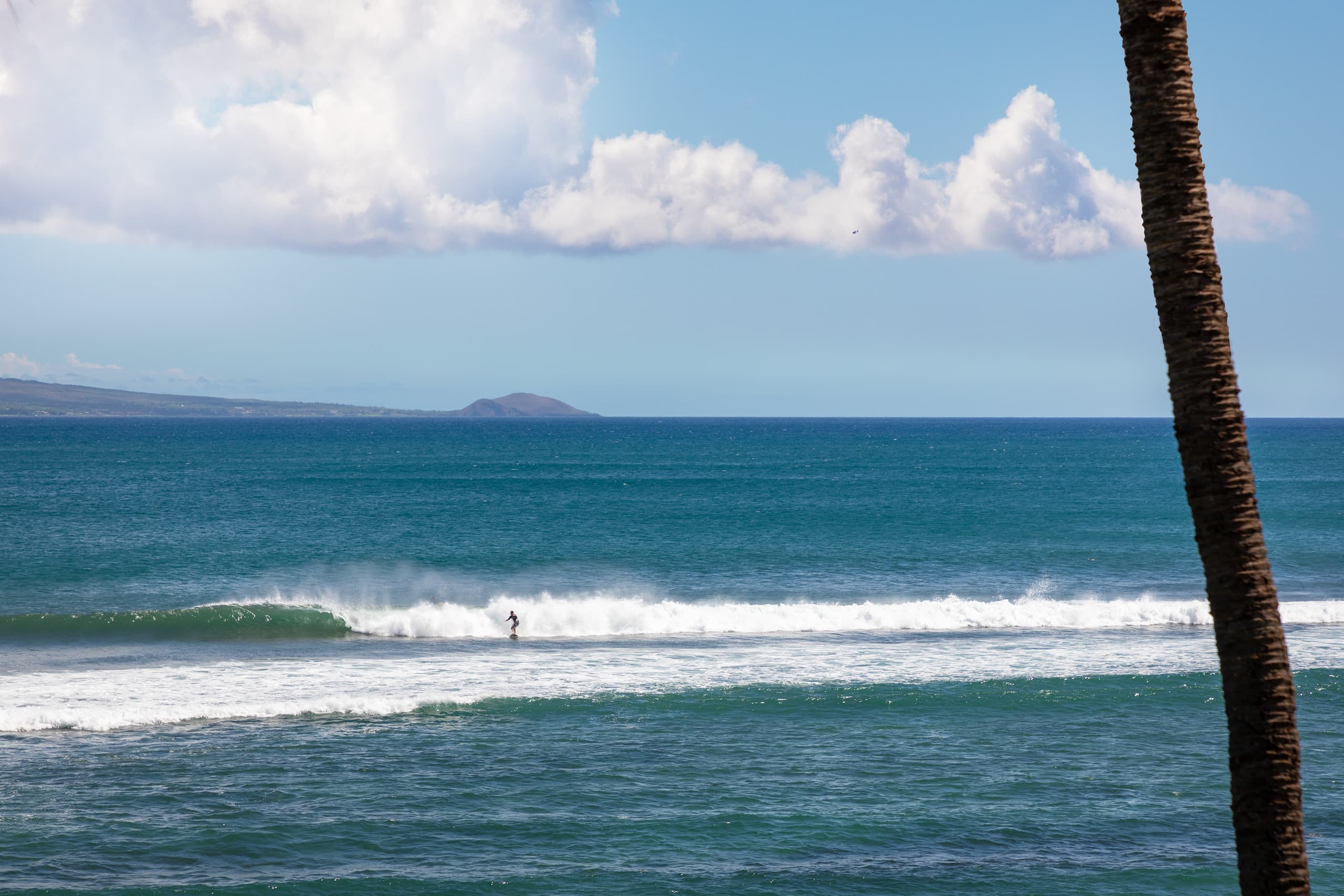 Condo in Wailuku · ★4.74 · 2 bedrooms · 4 beds · 2 baths - Image 62