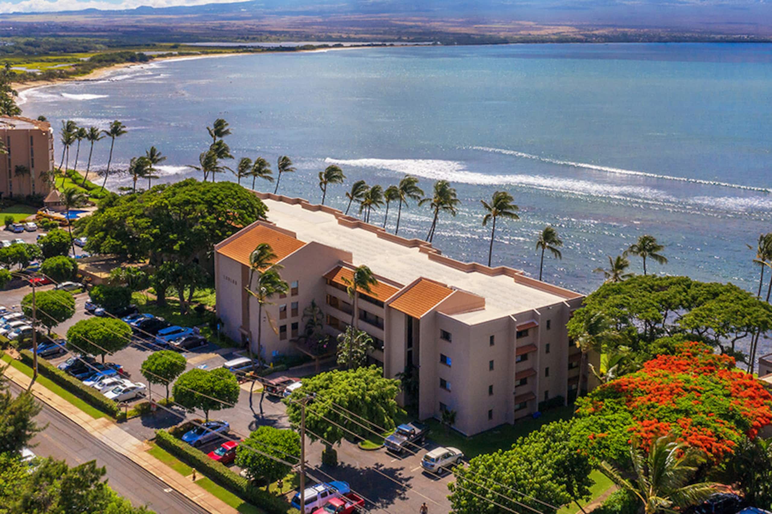 Condo in Wailuku · ★4.74 · 2 bedrooms · 4 beds · 2 baths - Image 47